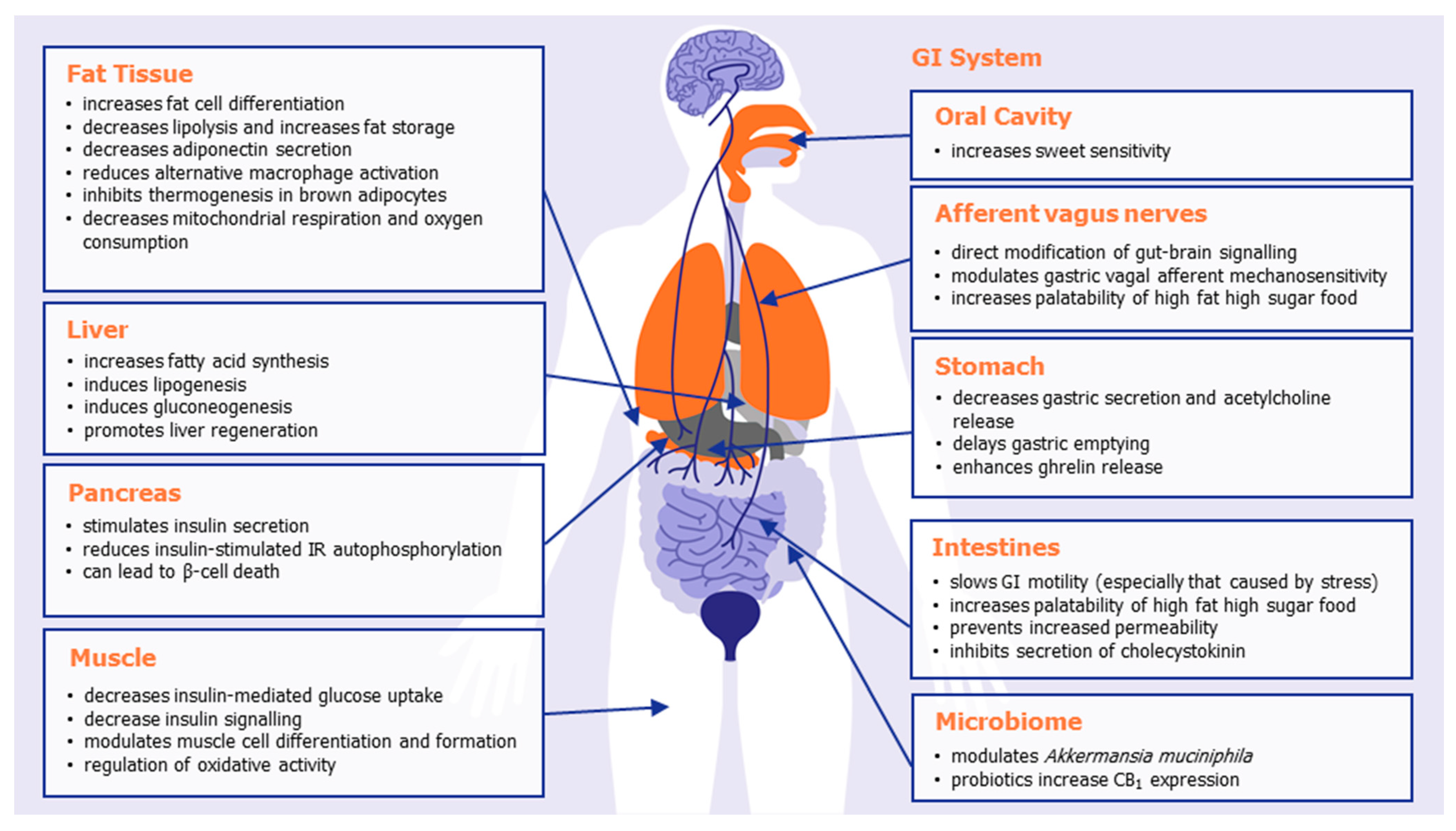 Molecules 26 06178 g001 Molecules 26 06178 g001