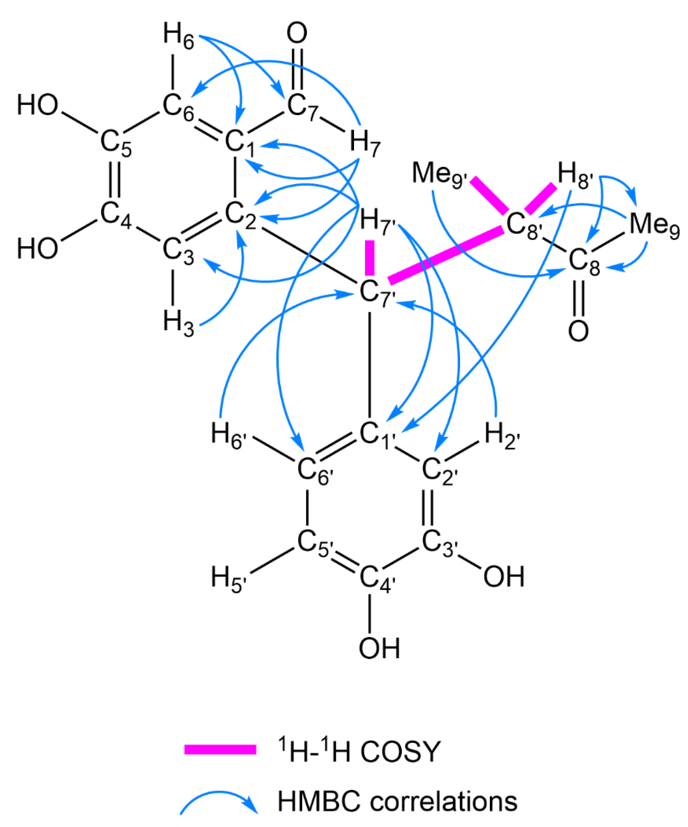 Molecules 26 06186 g004