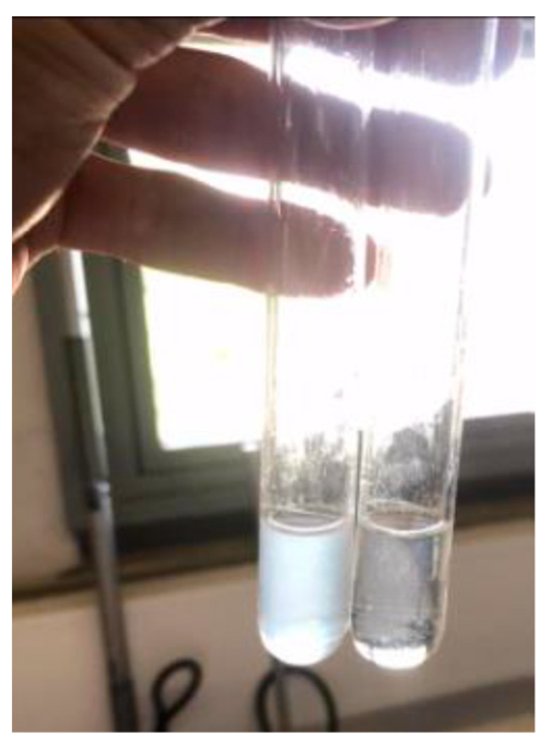 Molecules 26 06188 g003