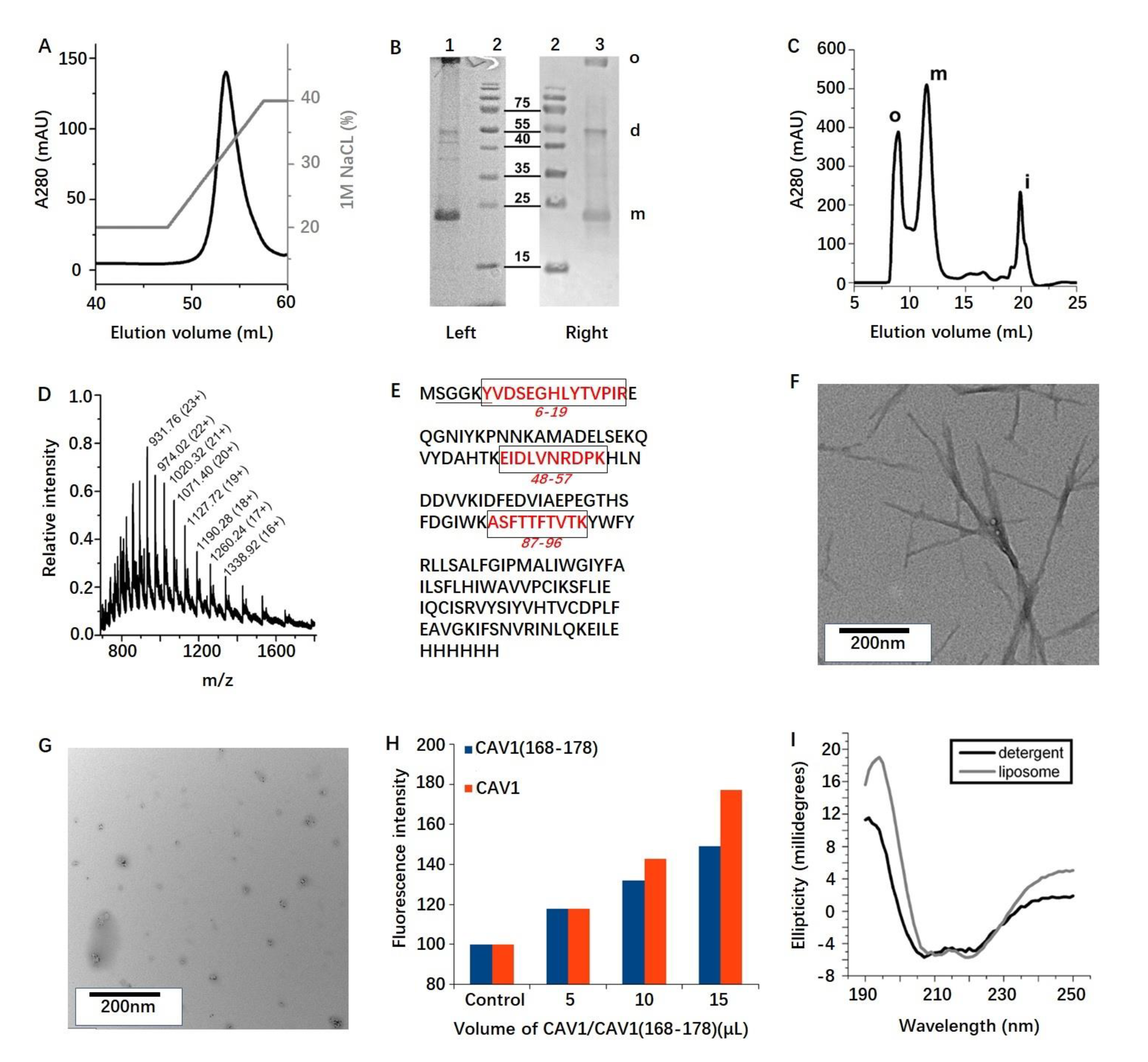 Molecules 26 06201 g001