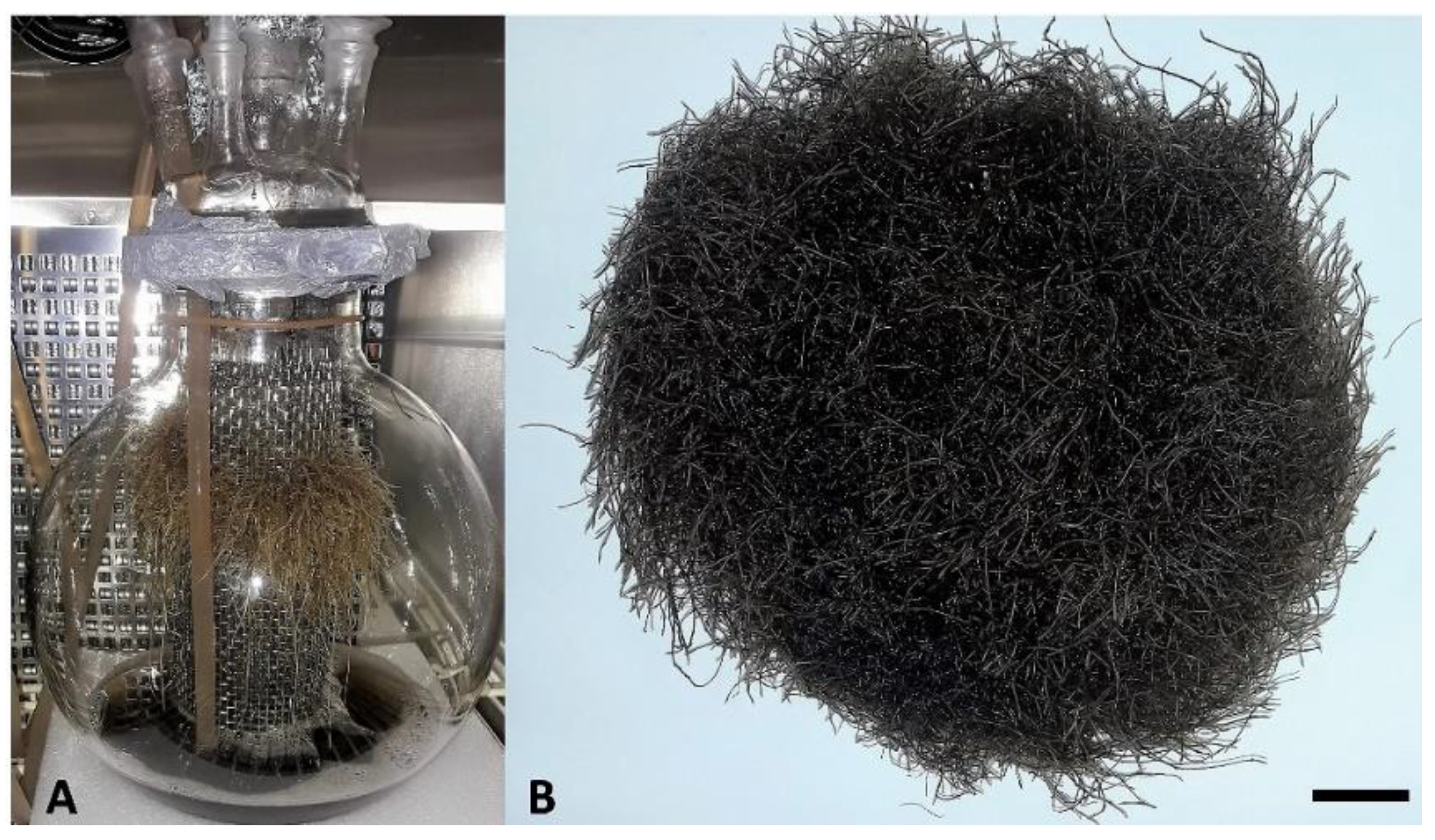 Molecules 26 06208 g001 550