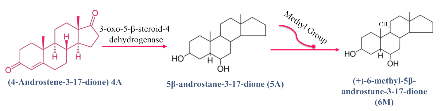 Molecules 26 06210 g003