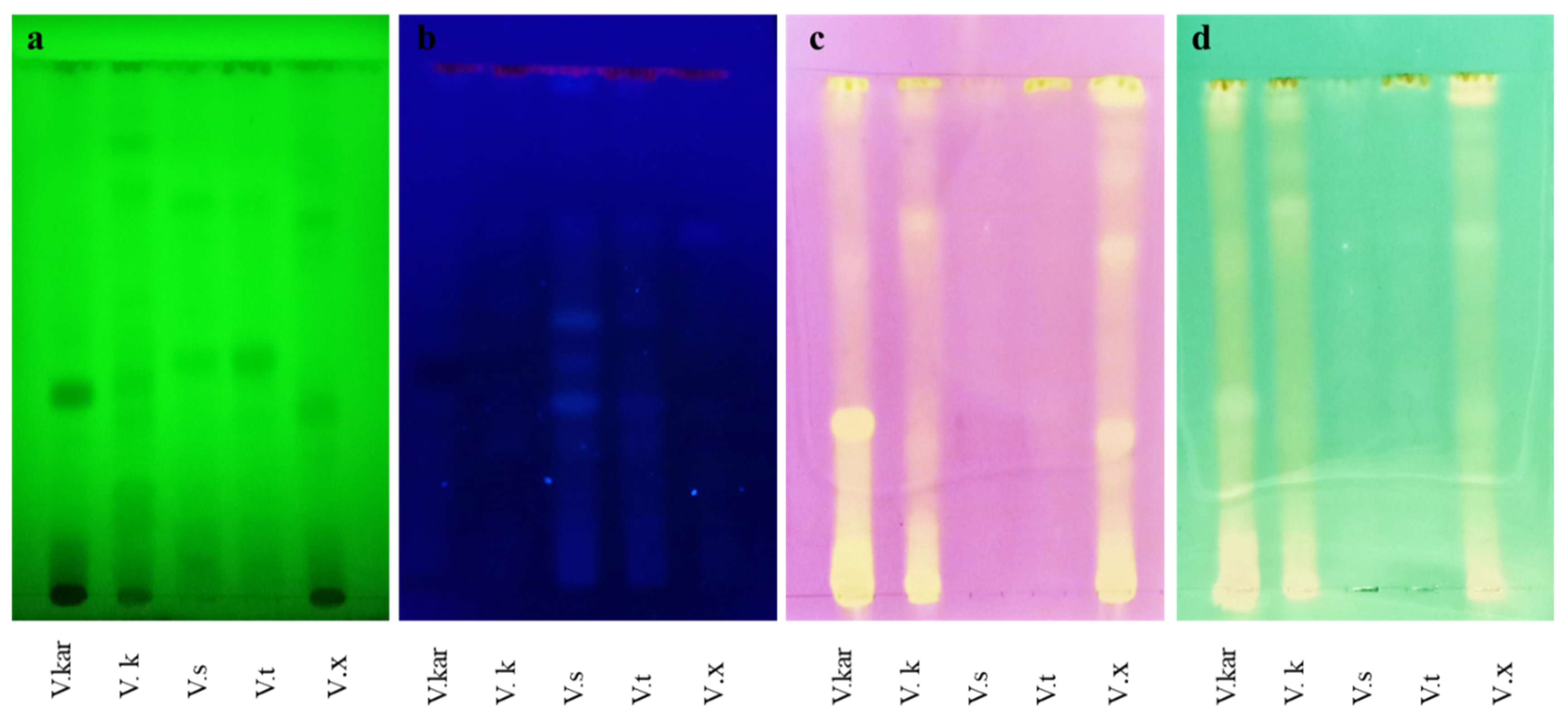 Molecules 26 06214 g001 Molecules 26 06214 g001
