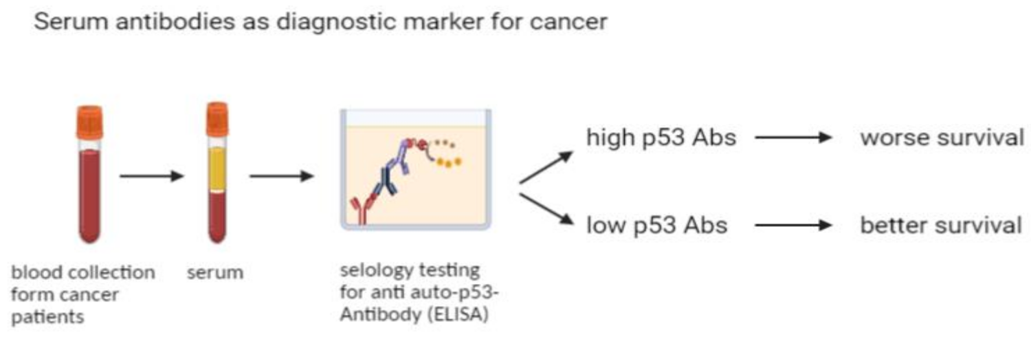 Molecules 26 06215 g004