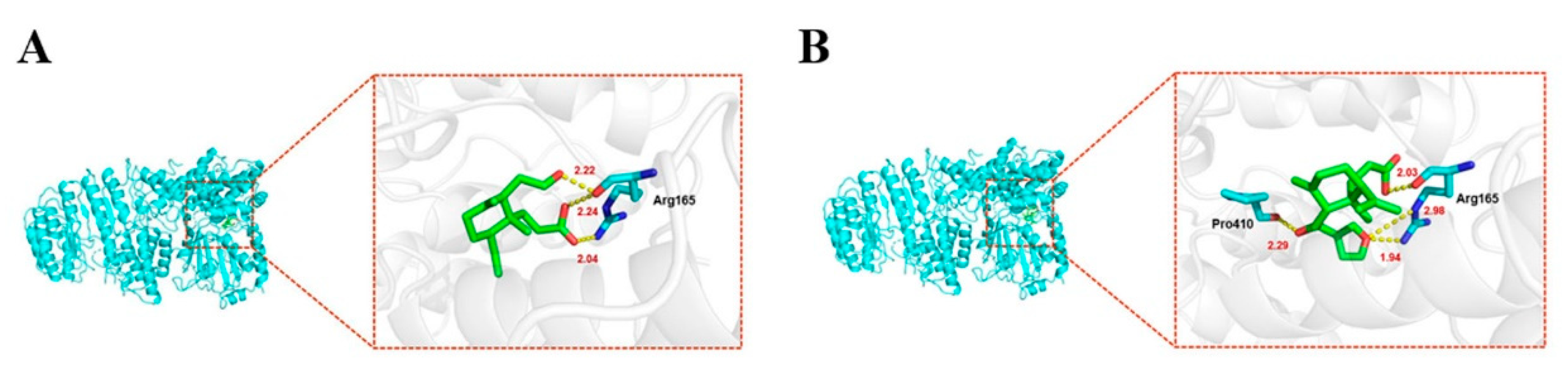 Molecules 26 06217 g010 550