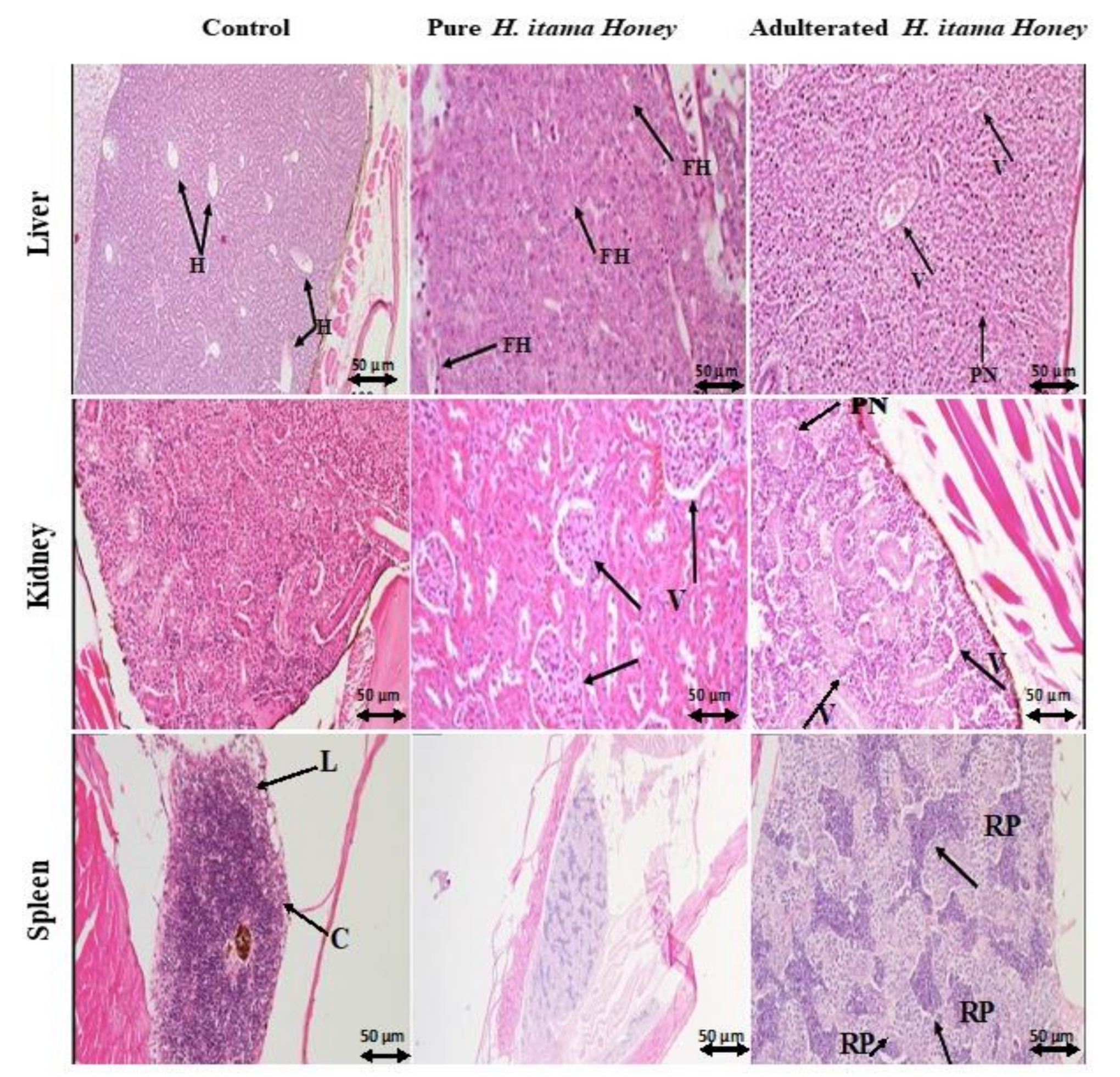 Molecules 26 06222 g005 550