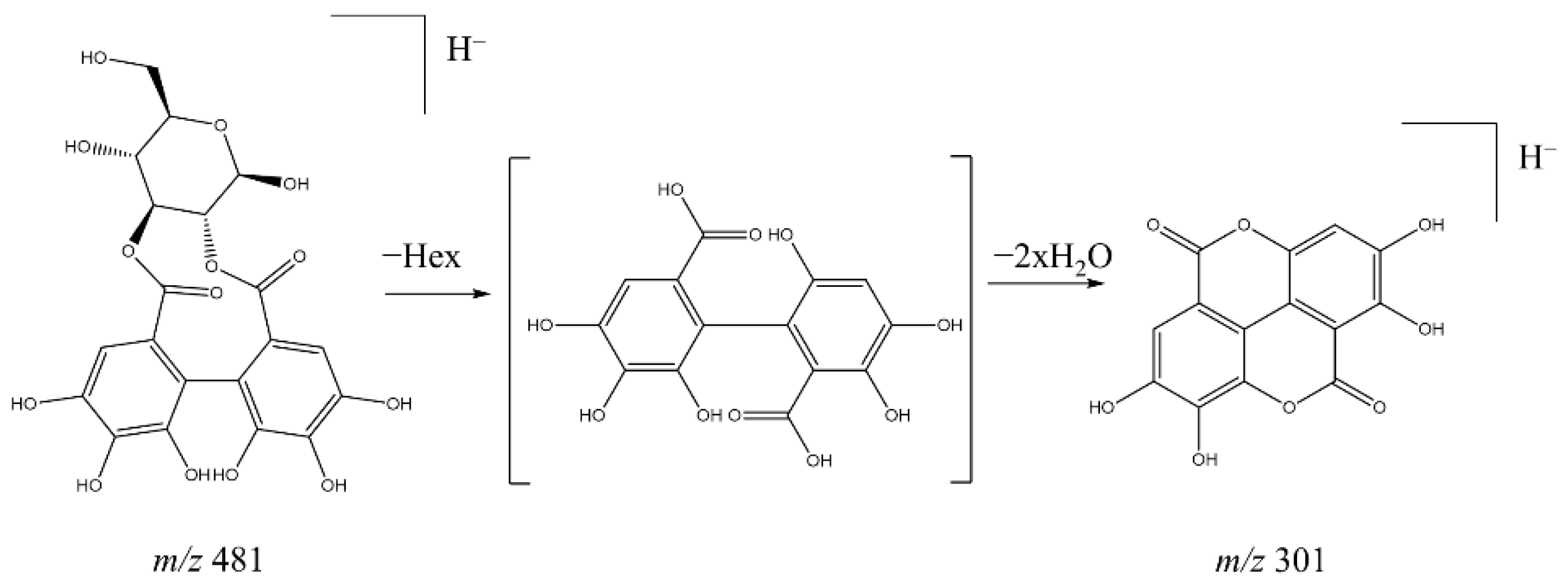 Molecules 26 06229 g004