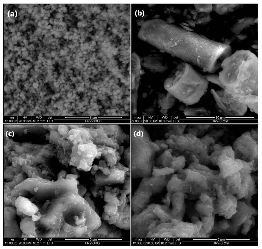 Molecules 26 06232 g004 Molecules 26 06232 g004