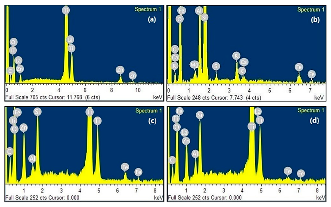Molecules 26 06232 g005 Molecules 26 06232 g005