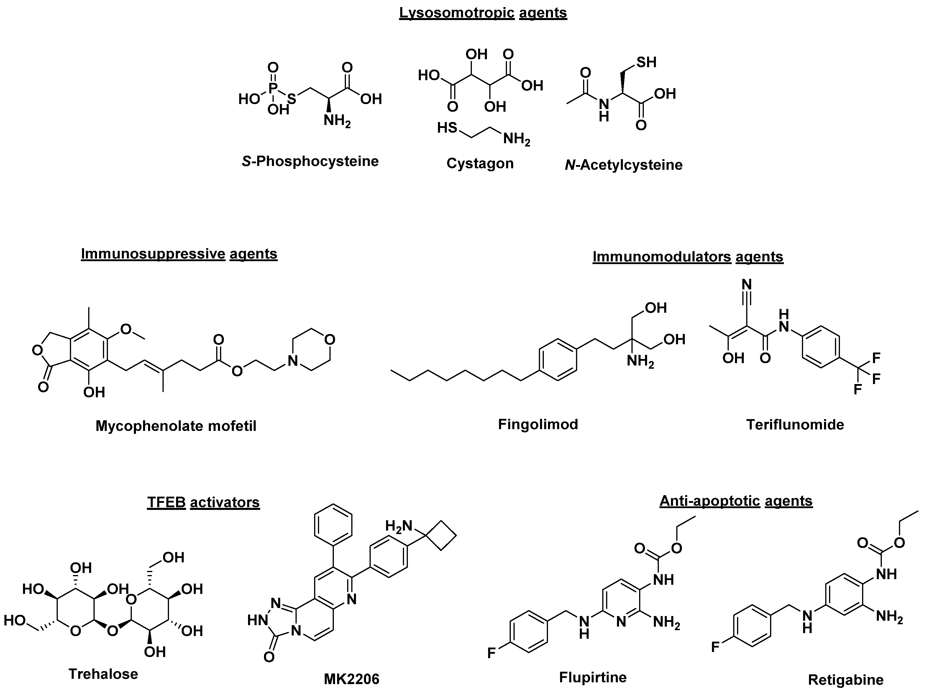 Molecules 26 06235 g001 Molecules 26 06235 g001