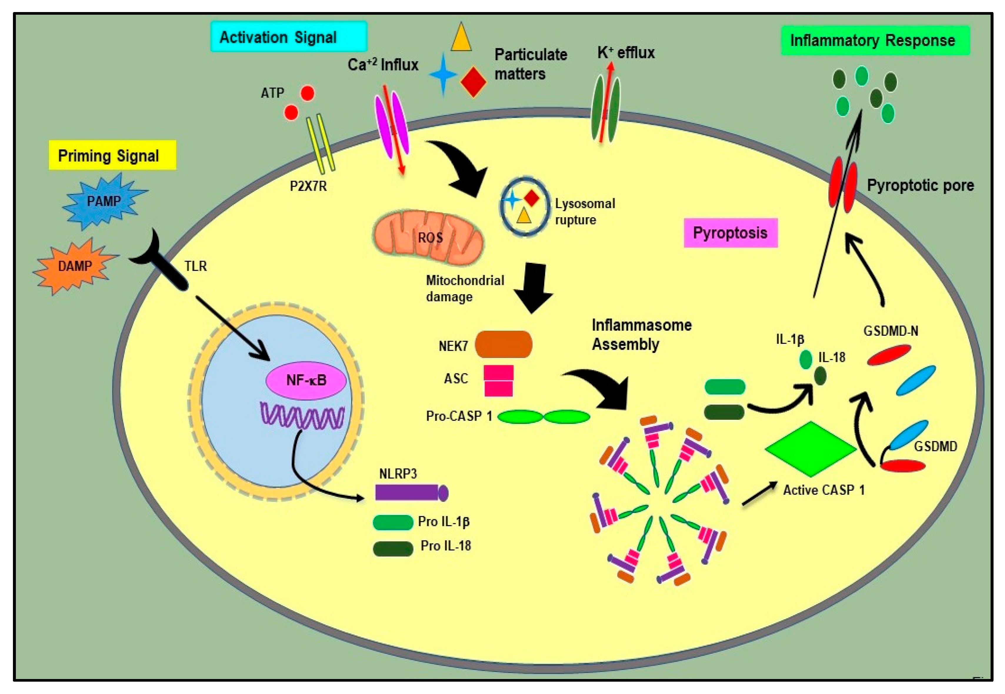 Molecules 26 06238 g002 550