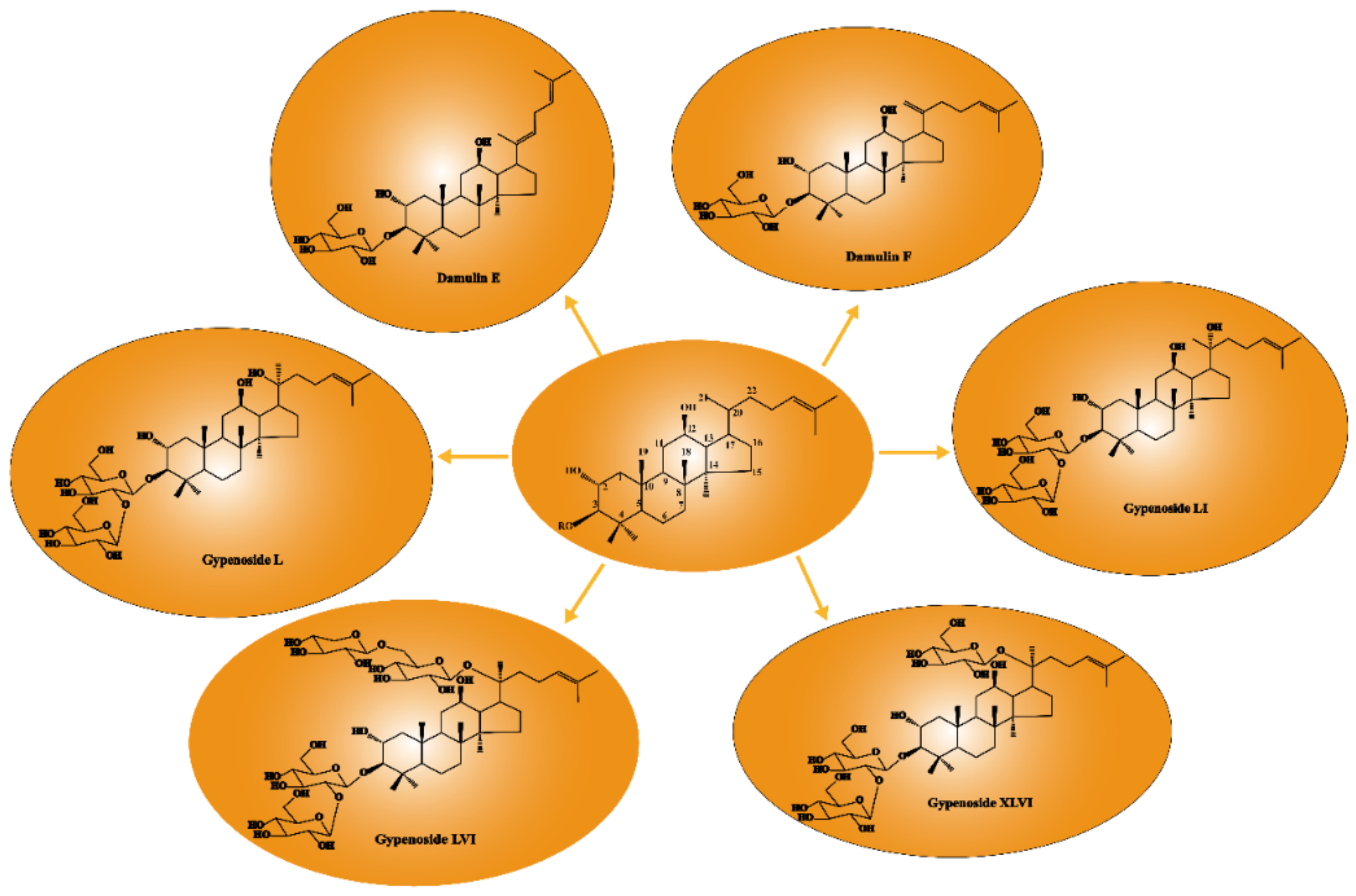 Molecules 26 06249 g005