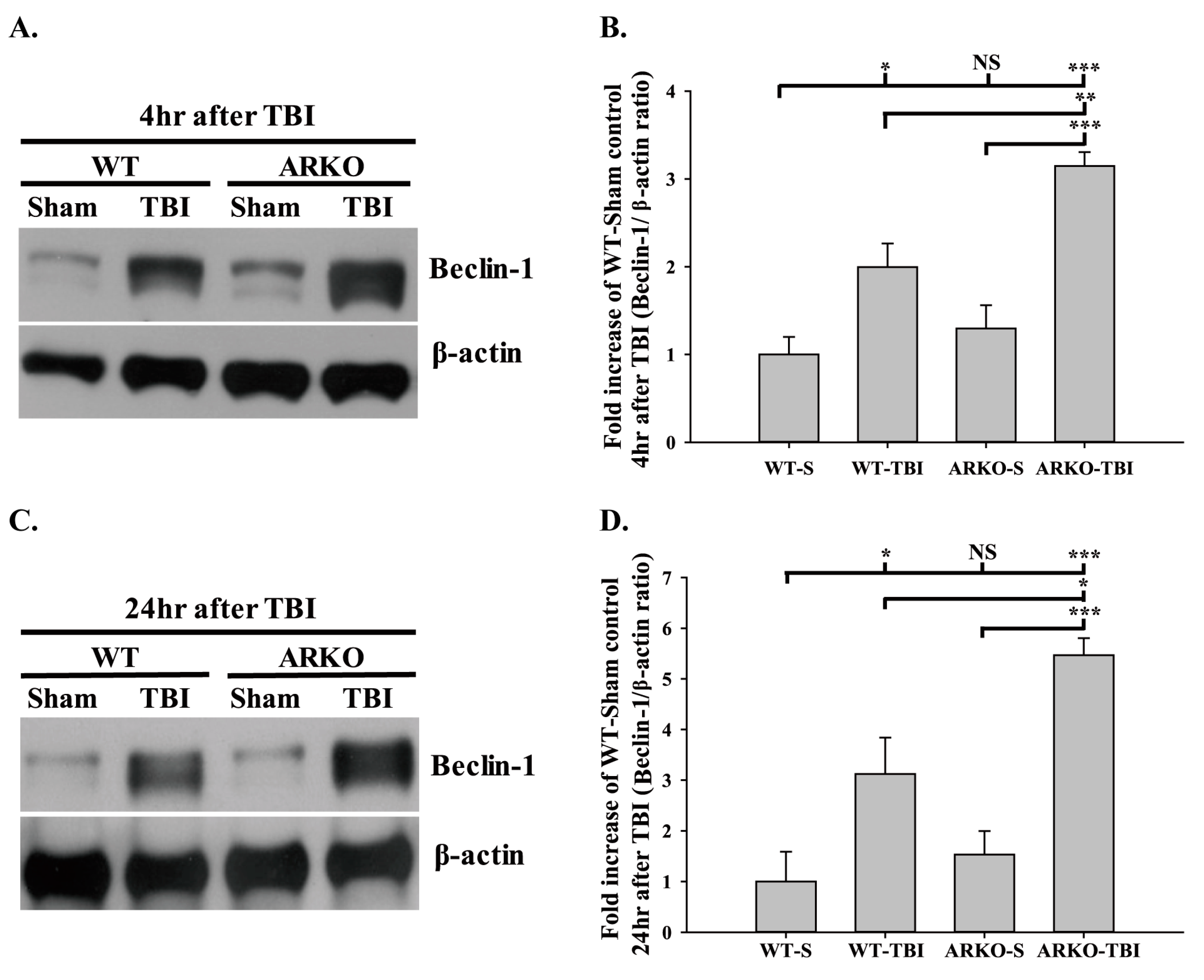 Molecules 26 06250 g004
