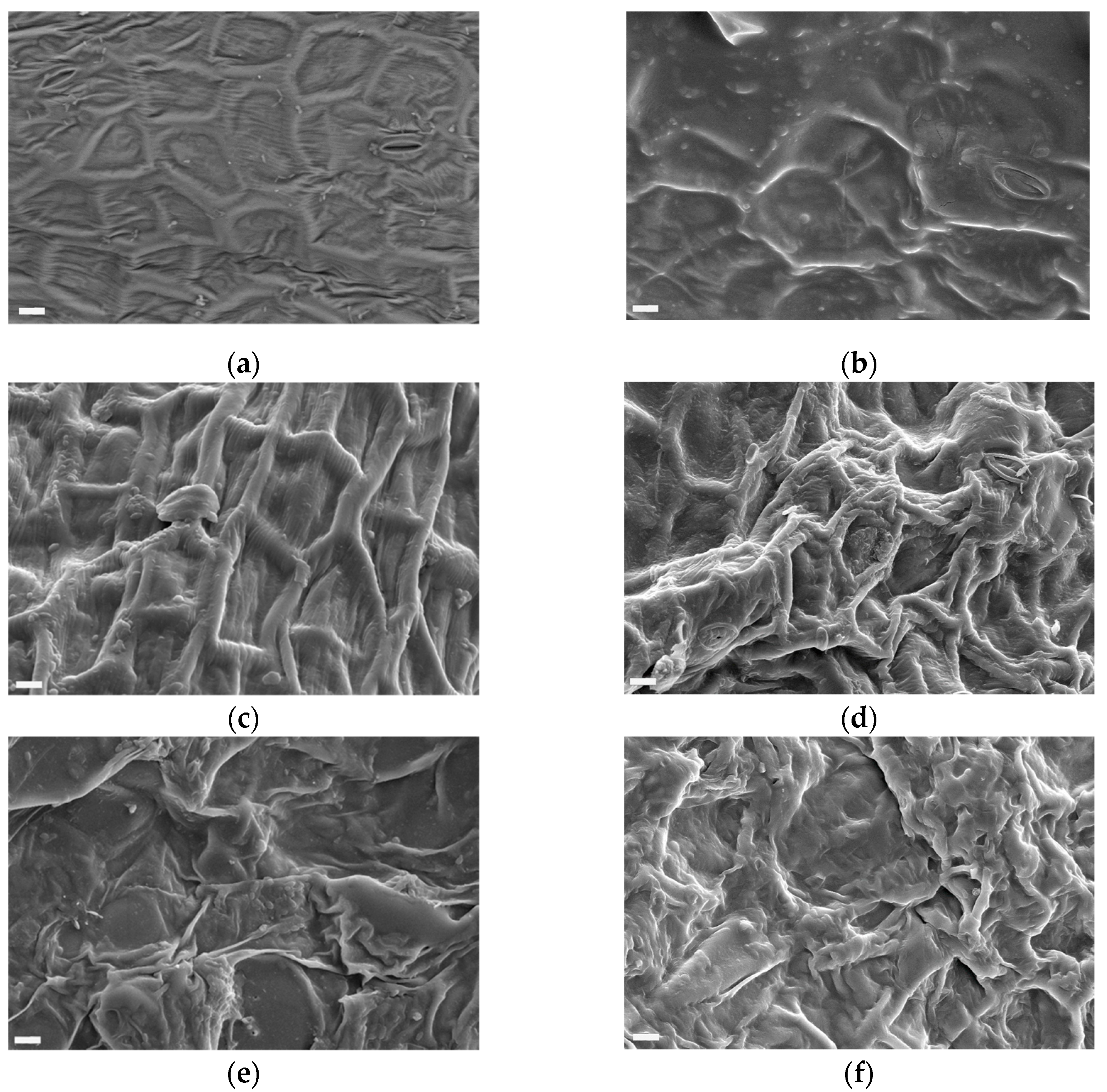 Molecules 26 06260 g002 550