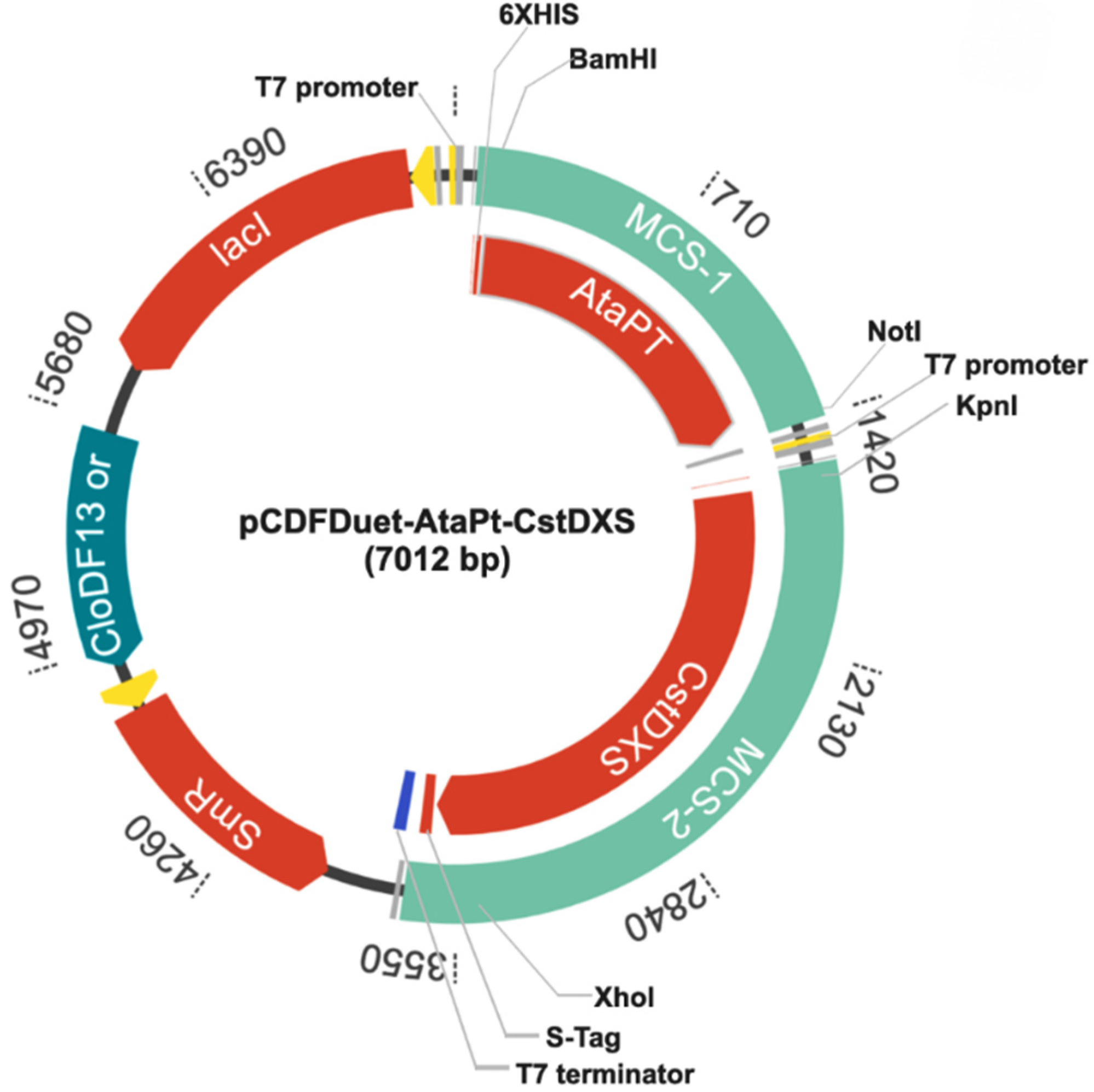Molecules 26 06264 g002 550