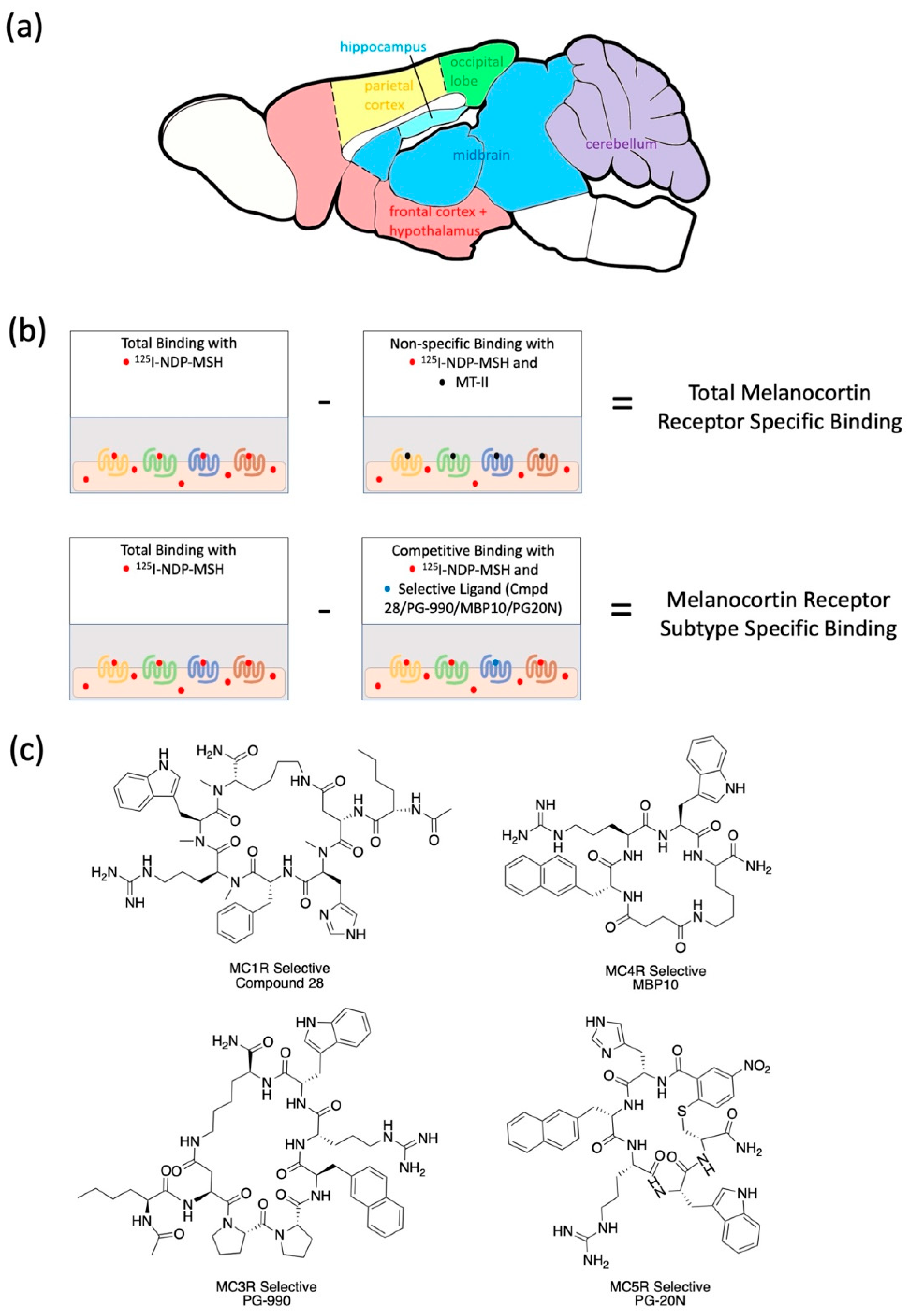 Molecules 26 06266 g001