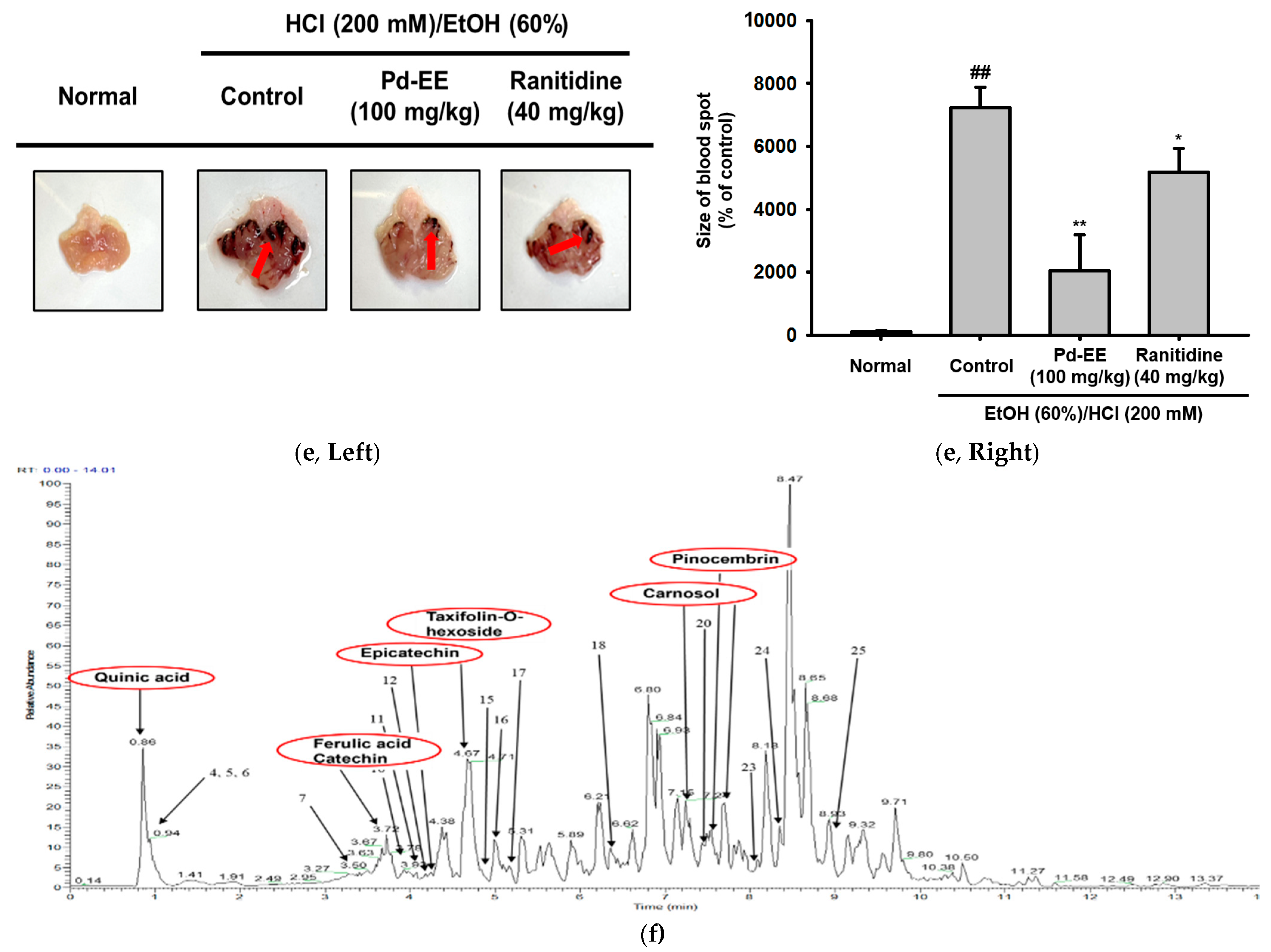 Molecules 26 06275 g001b