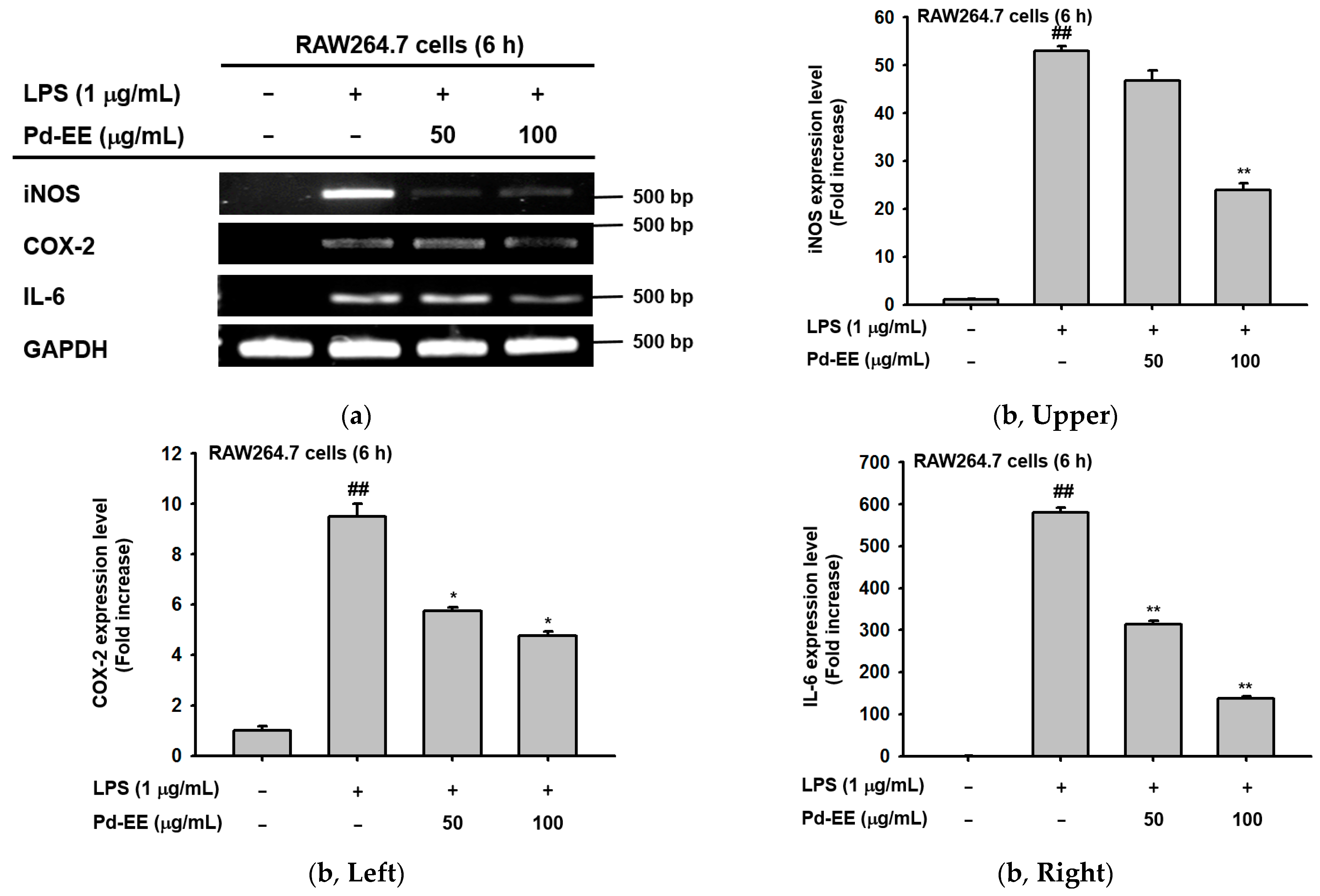 Molecules 26 06275 g002a