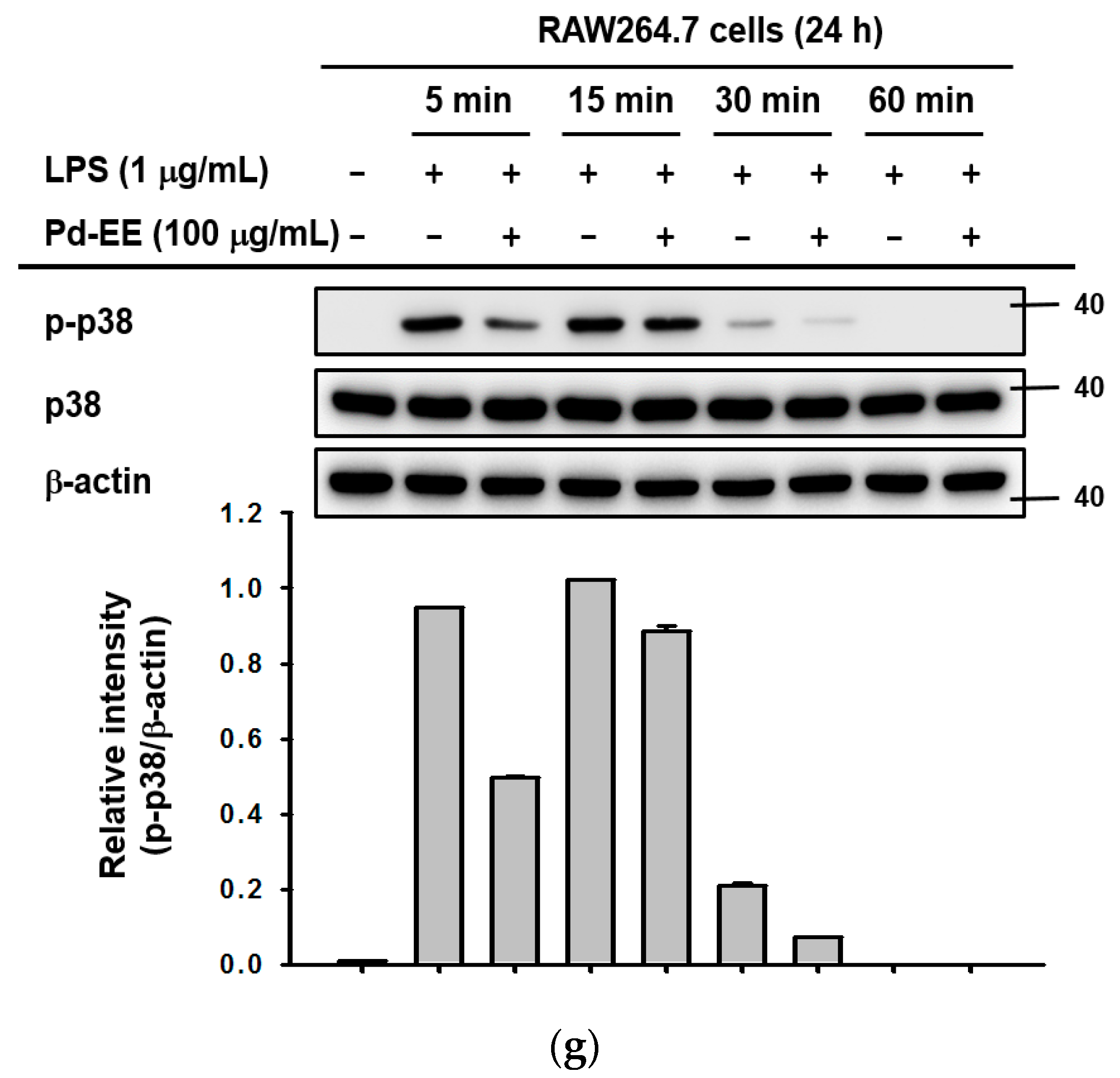 Molecules 26 06275 g003c