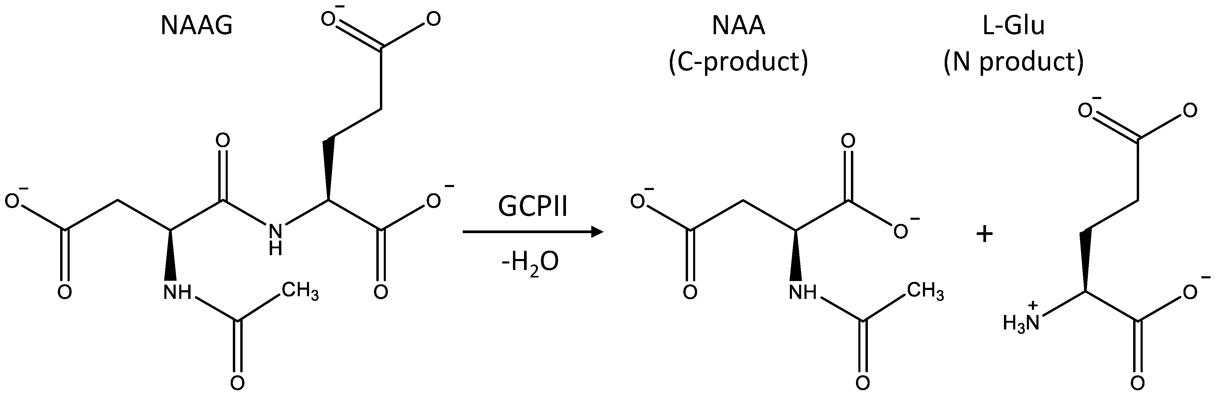 Molecules 26 06280 g001