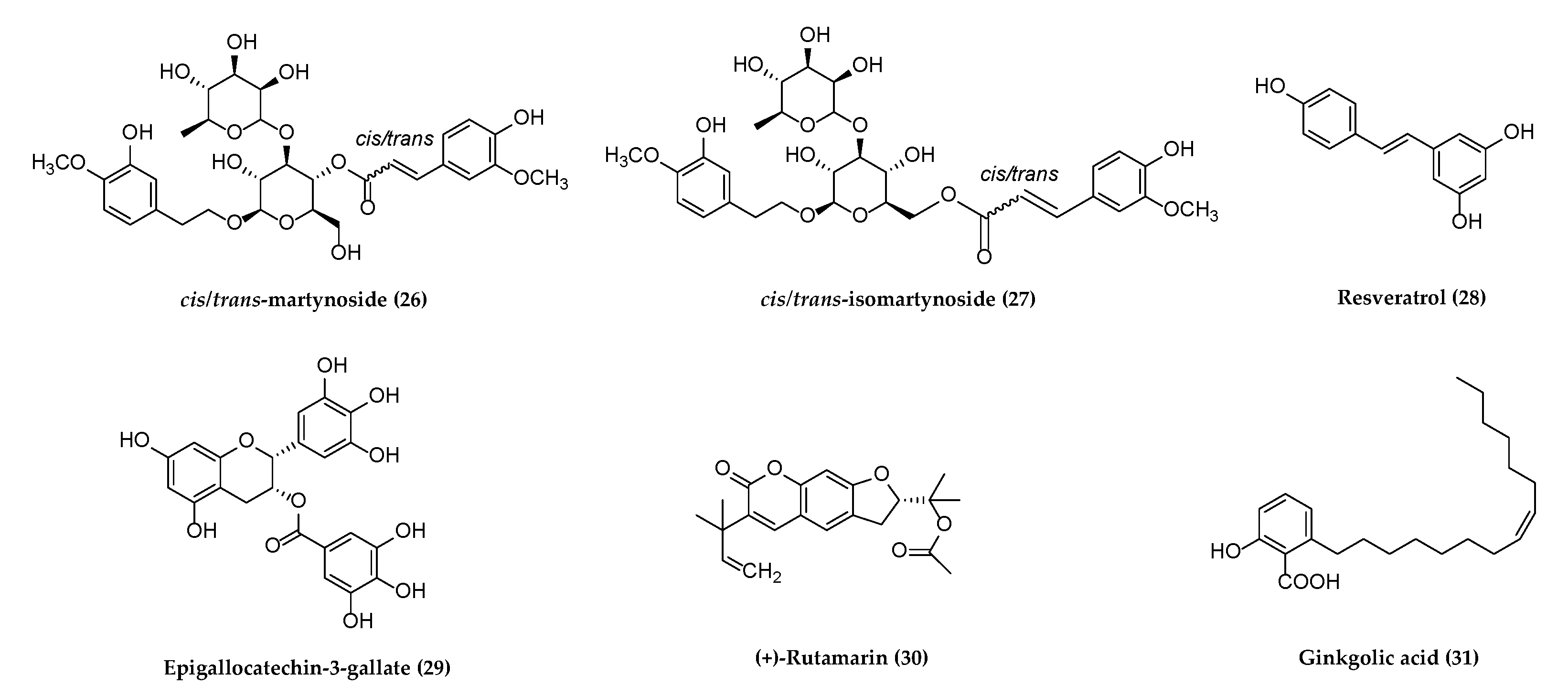 Molecules 26 06290 g004