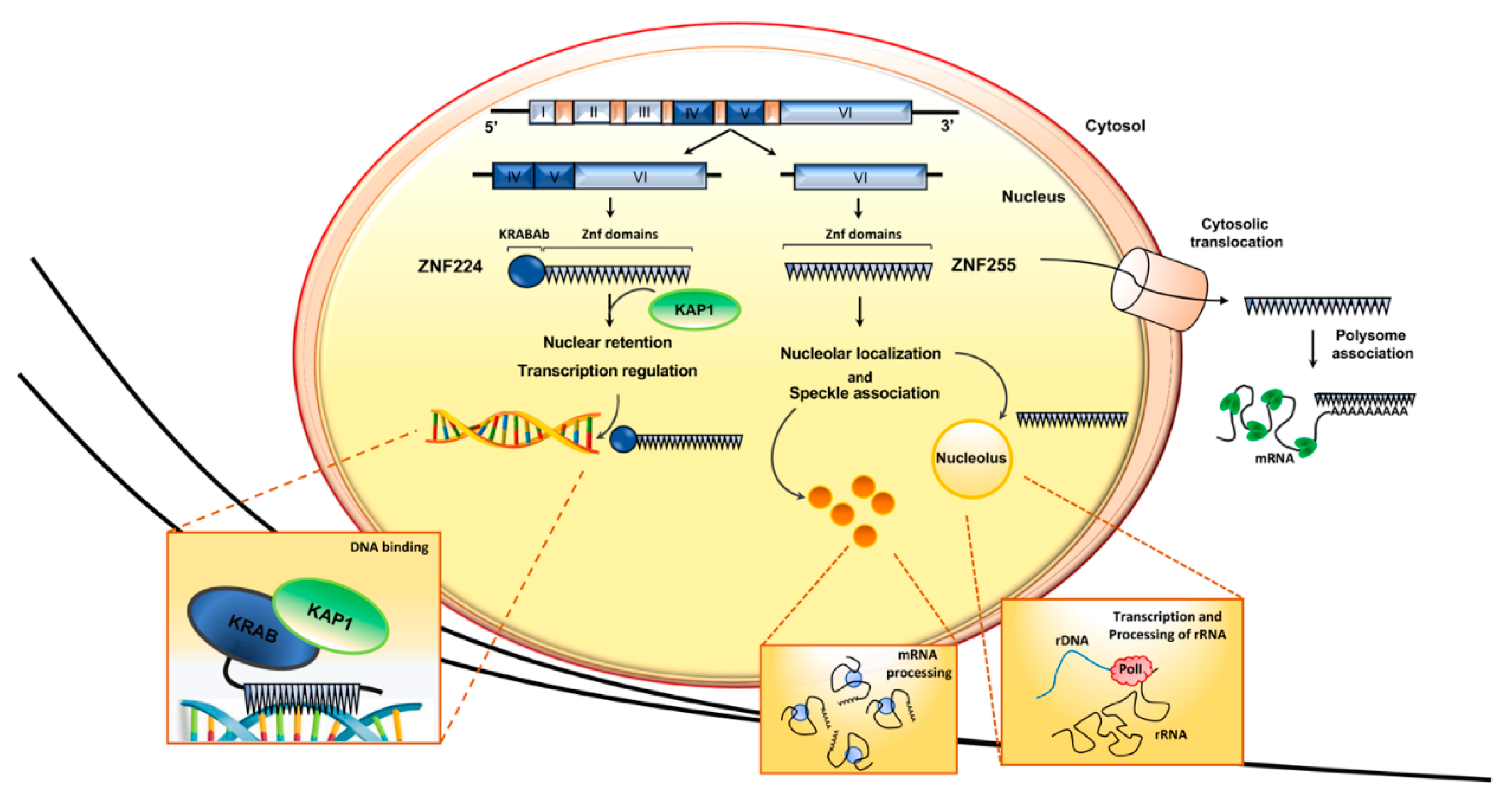 Molecules 26 06296 g003
