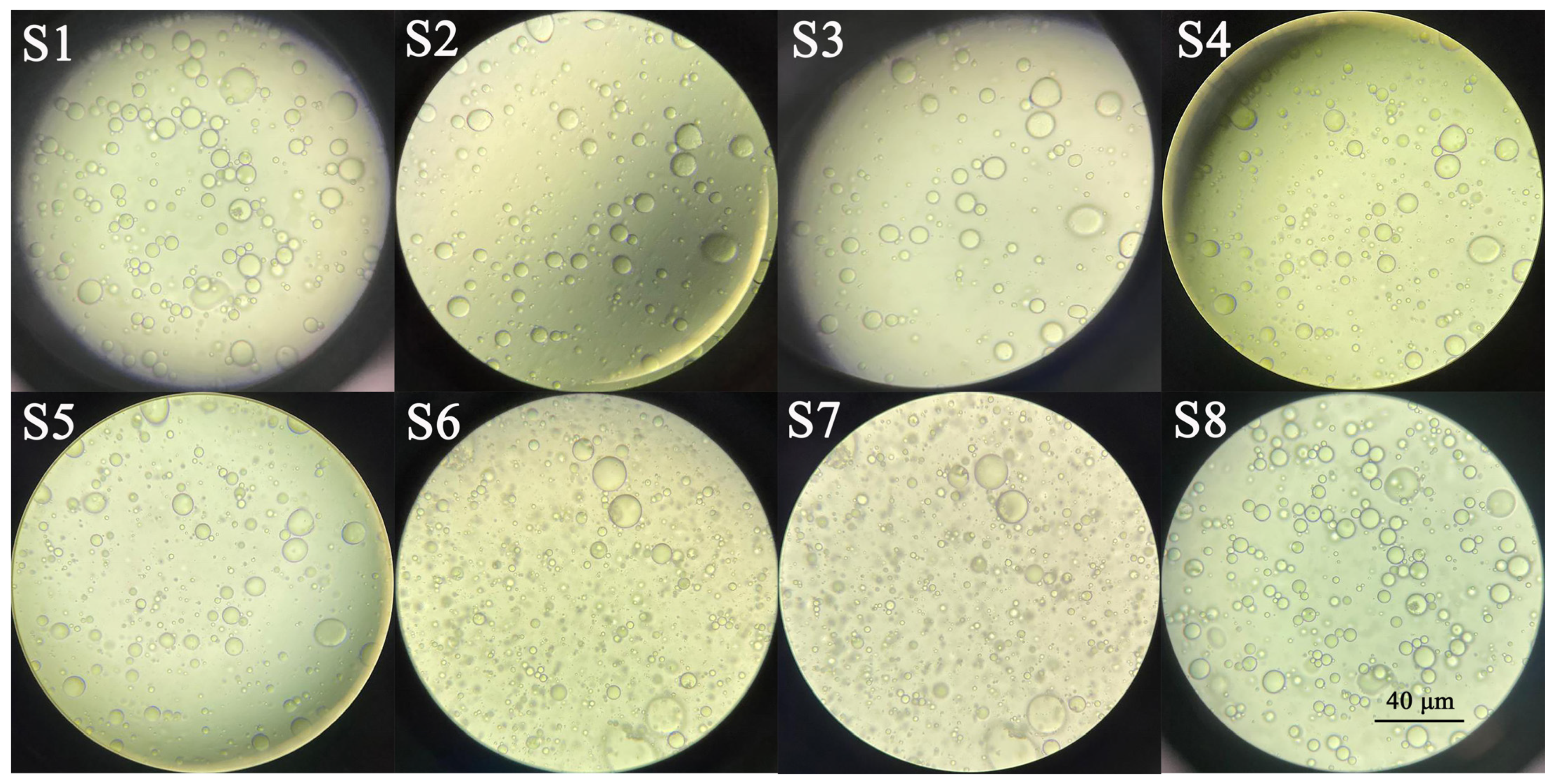 Molecules 26 06304 g004 Molecules 26 06304 g004