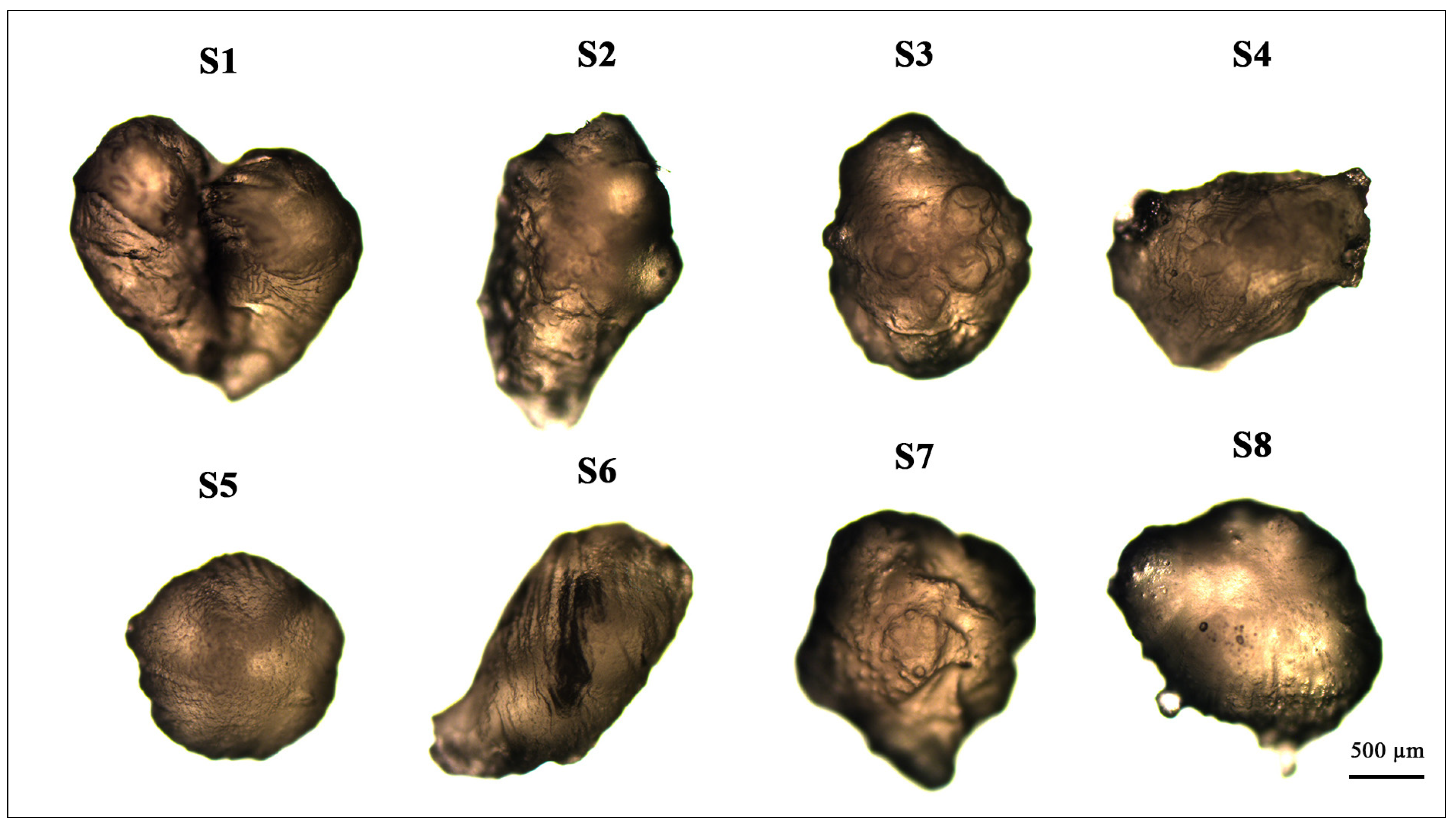 Molecules 26 06304 g006 Molecules 26 06304 g006