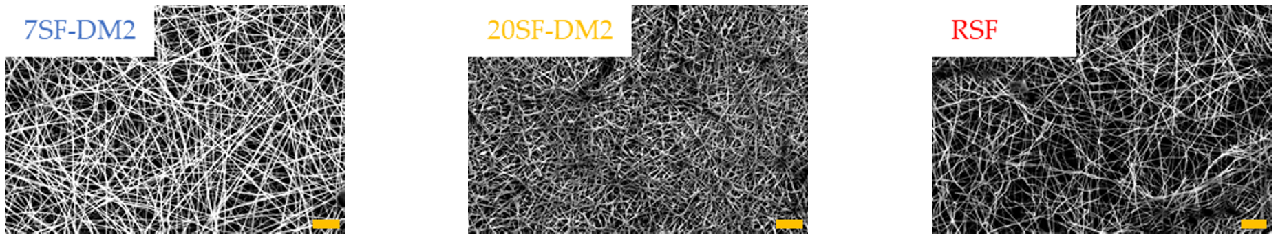 Molecules 26 06317 g005