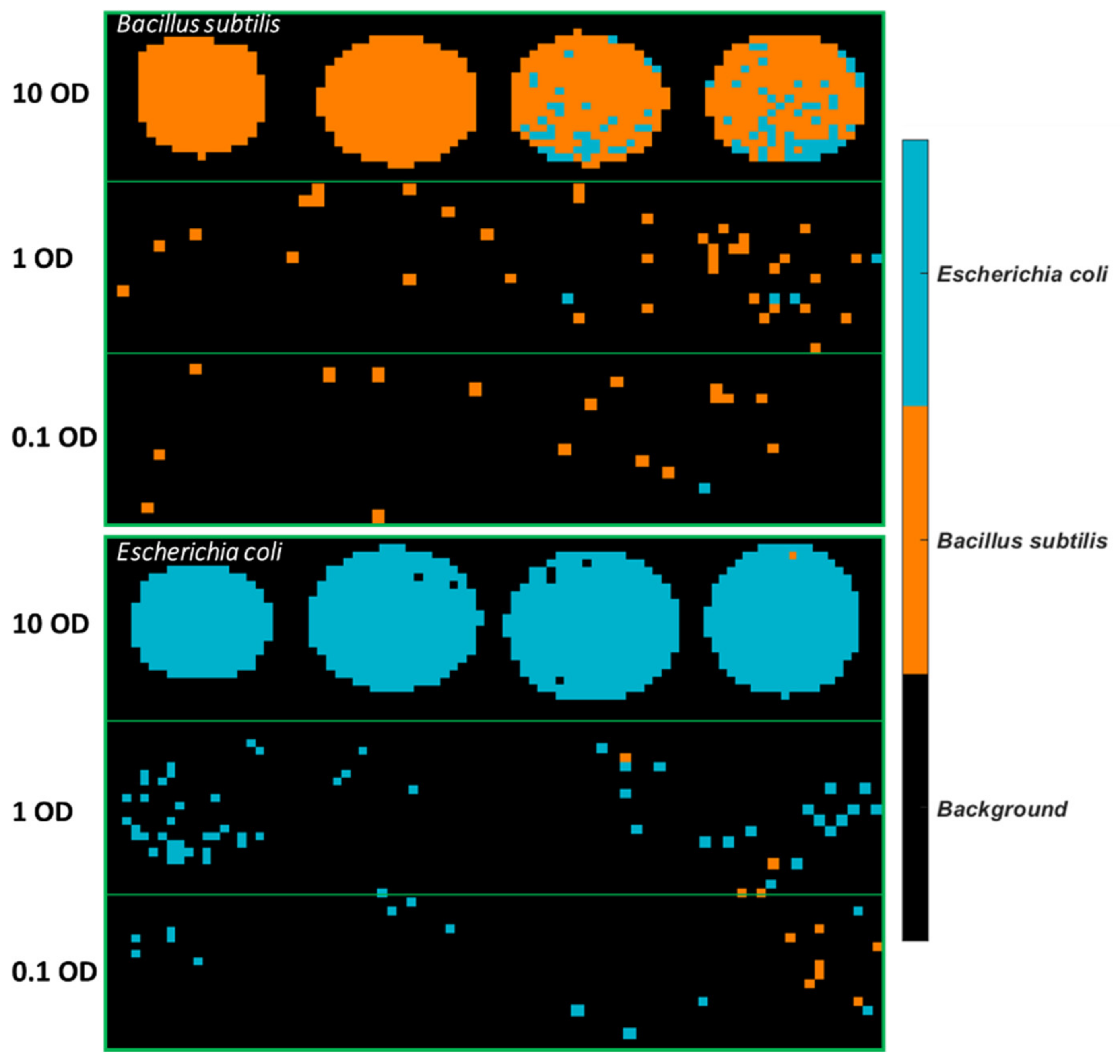Molecules 26 06318 g005 550