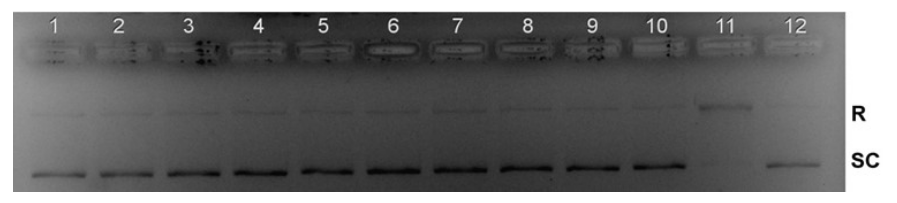 Molecules 26 06335 g014