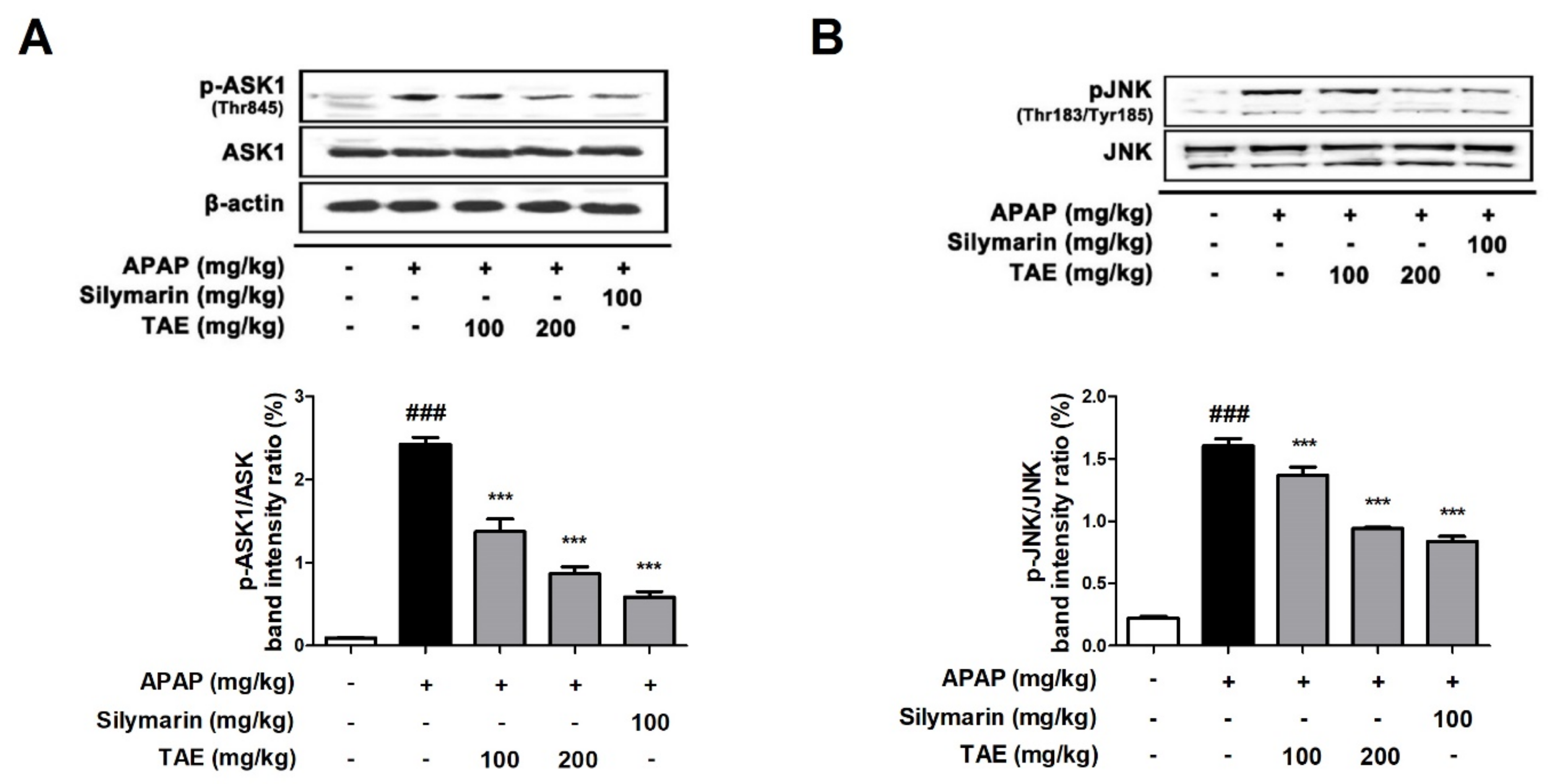 Molecules 26 06336 g006