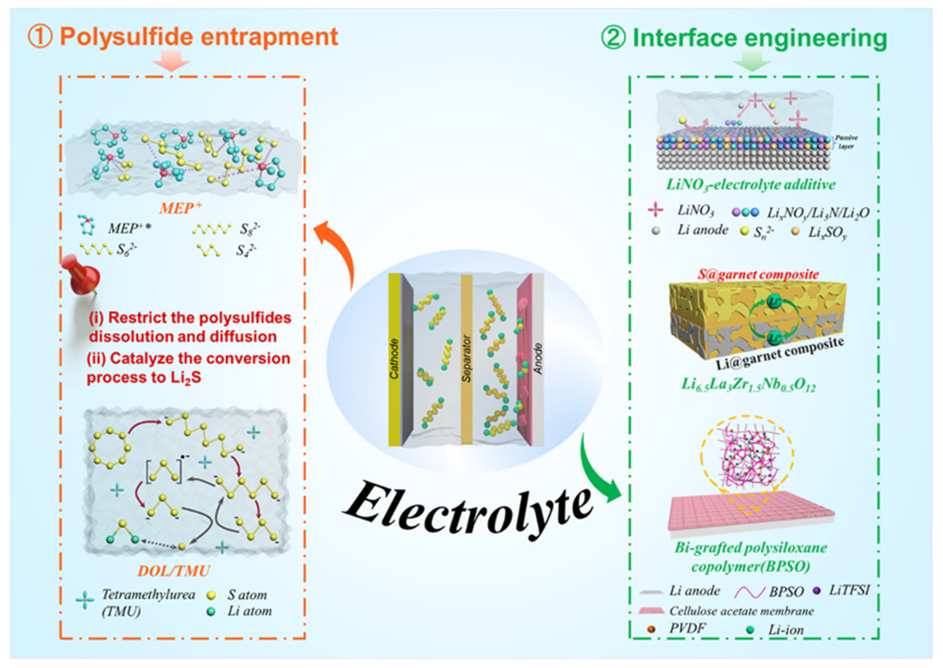 Molecules 26 06341 g003 550