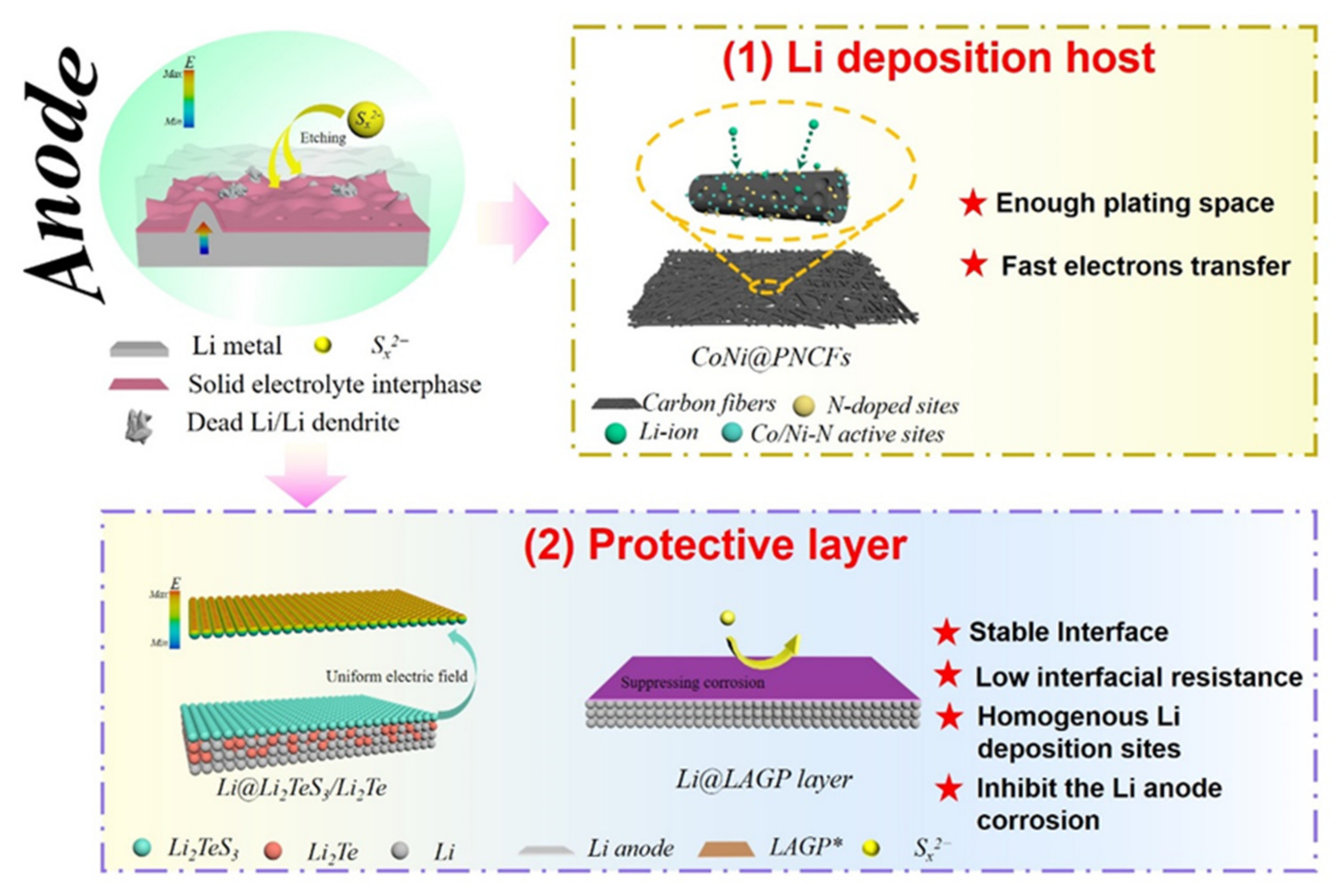 Molecules 26 06341 g005 550