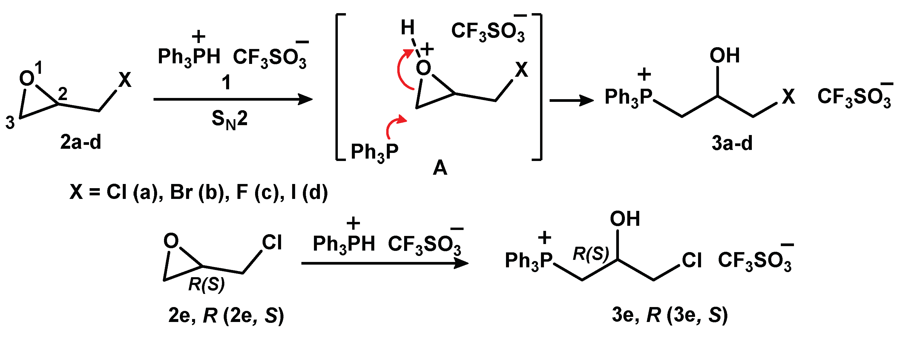 Molecules 26 06350 sch005 Molecules 26 06350 sch005