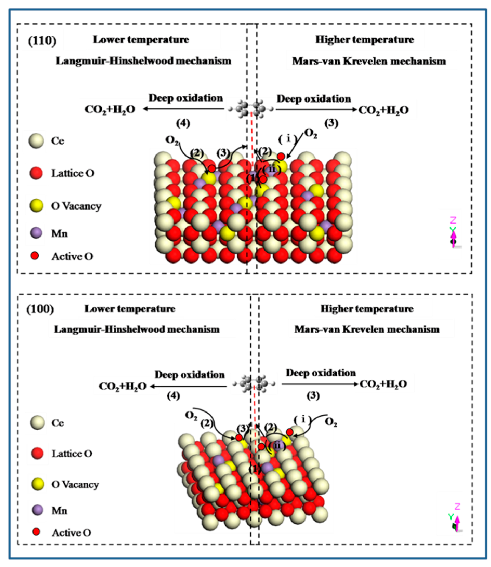 Molecules 26 06363 g010