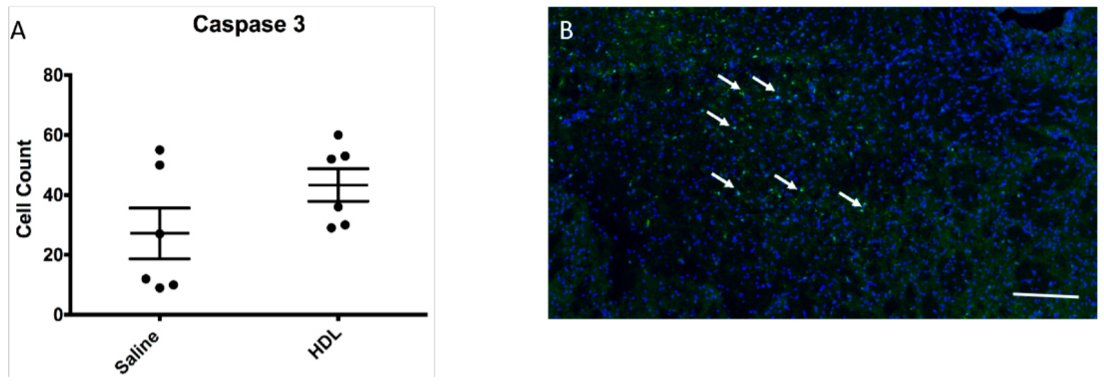 Molecules 26 06365 g005