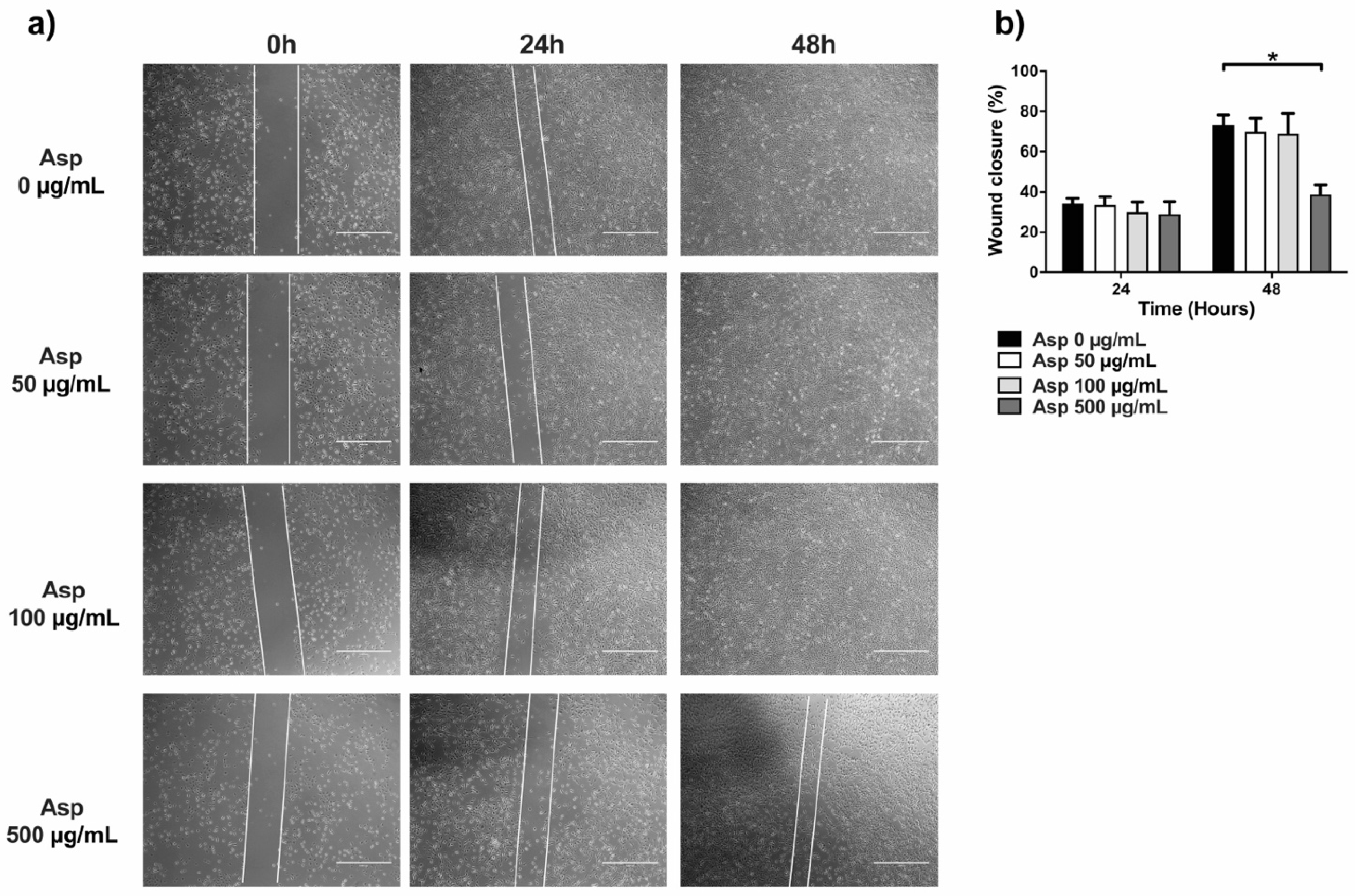 Molecules 26 06369 g007 Molecules 26 06369 g007