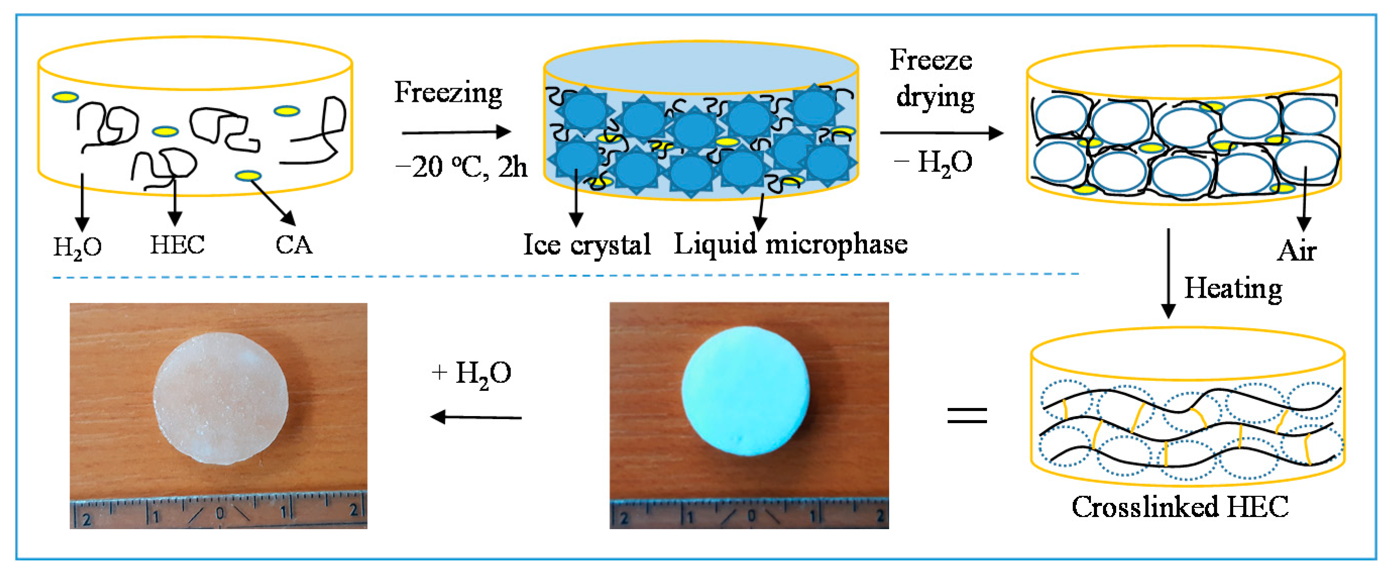 Molecules 26 06370 g002 550
