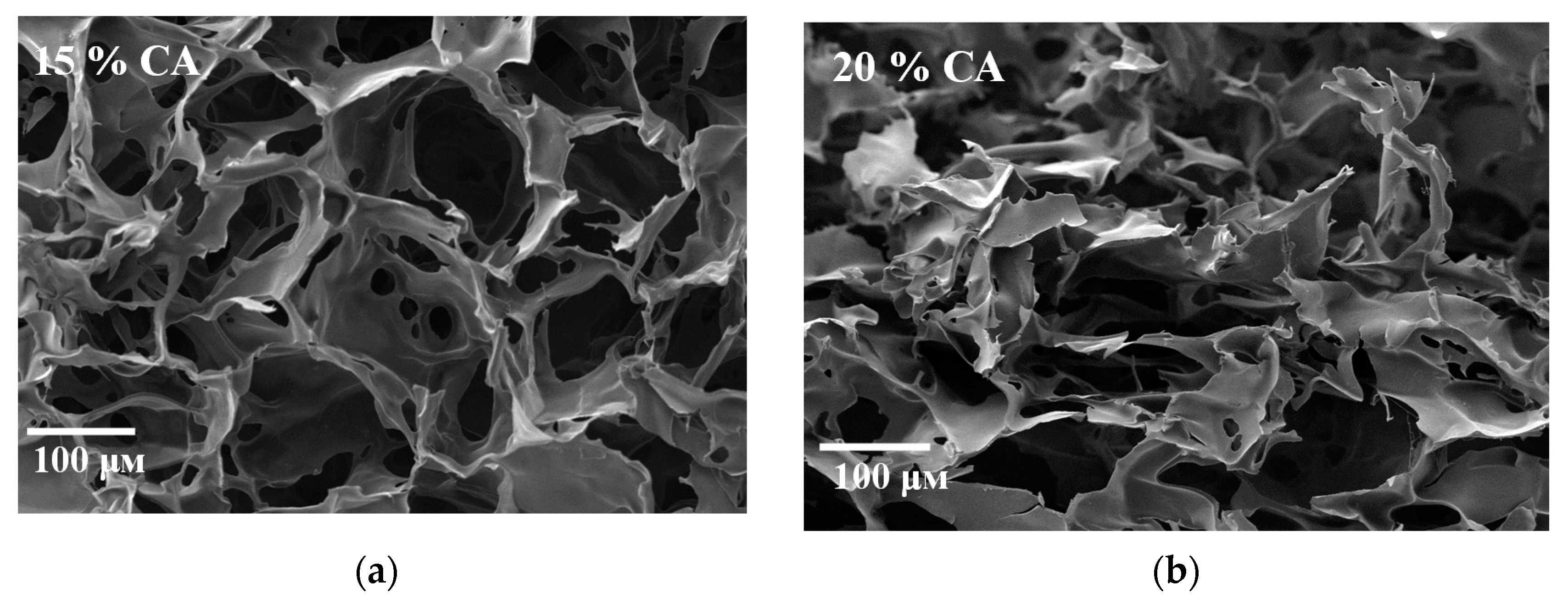Molecules 26 06370 g006 550