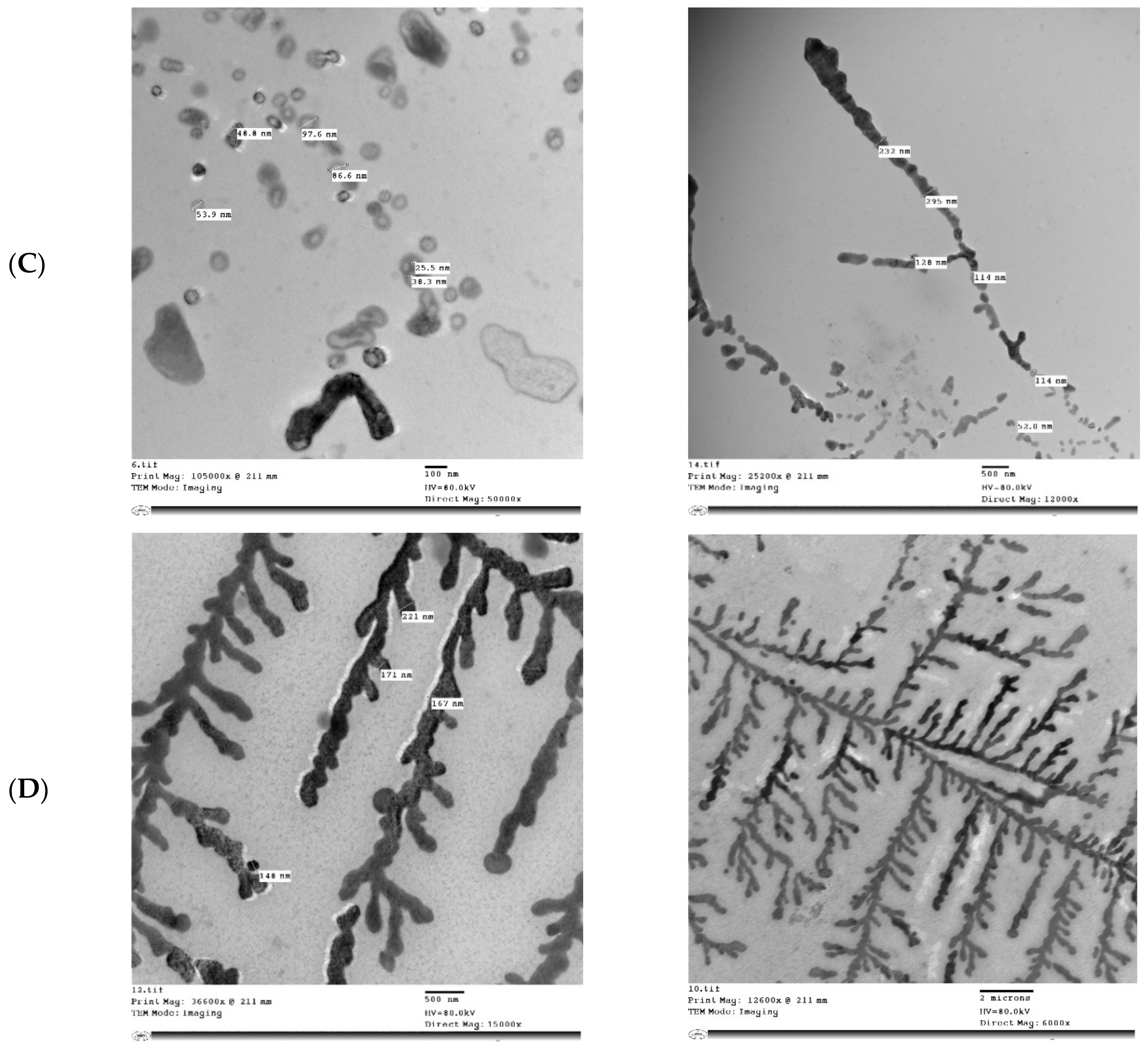Molecules 26 06372 g005b 550