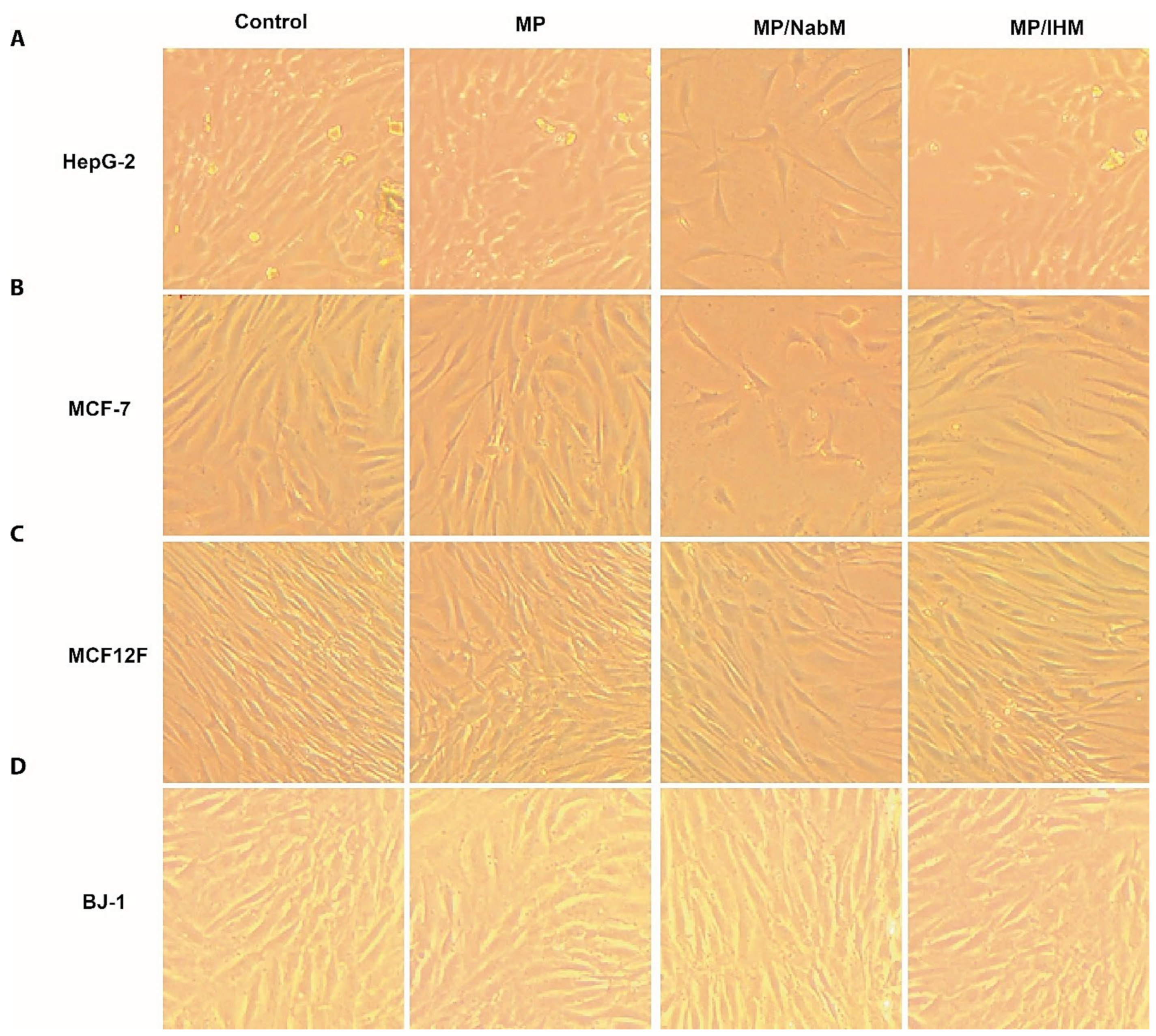 Molecules 26 06372 g007 550
