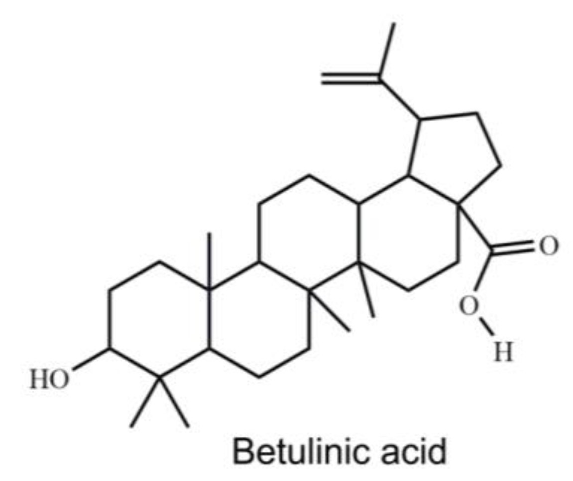 Molecules 26 06377 g001 550