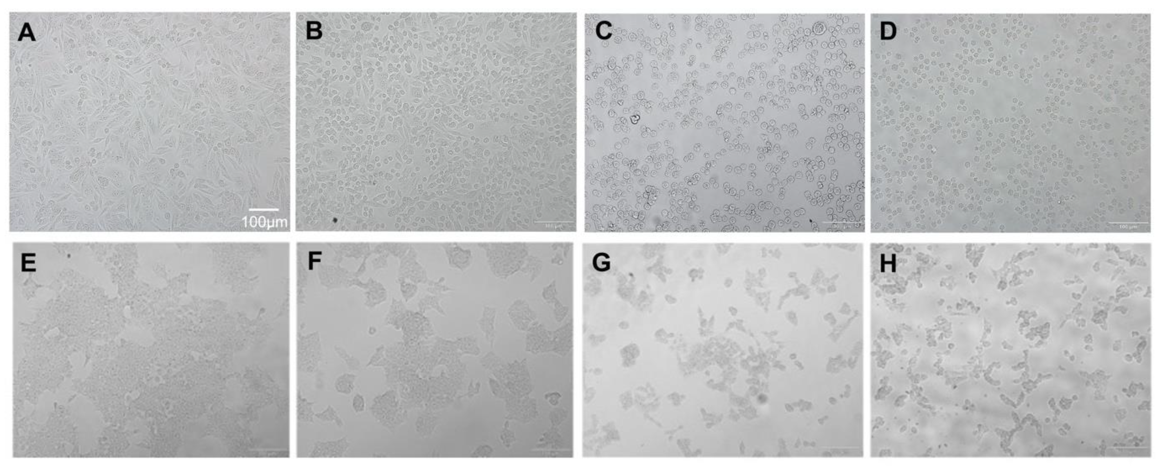 Molecules 26 06377 g003 550