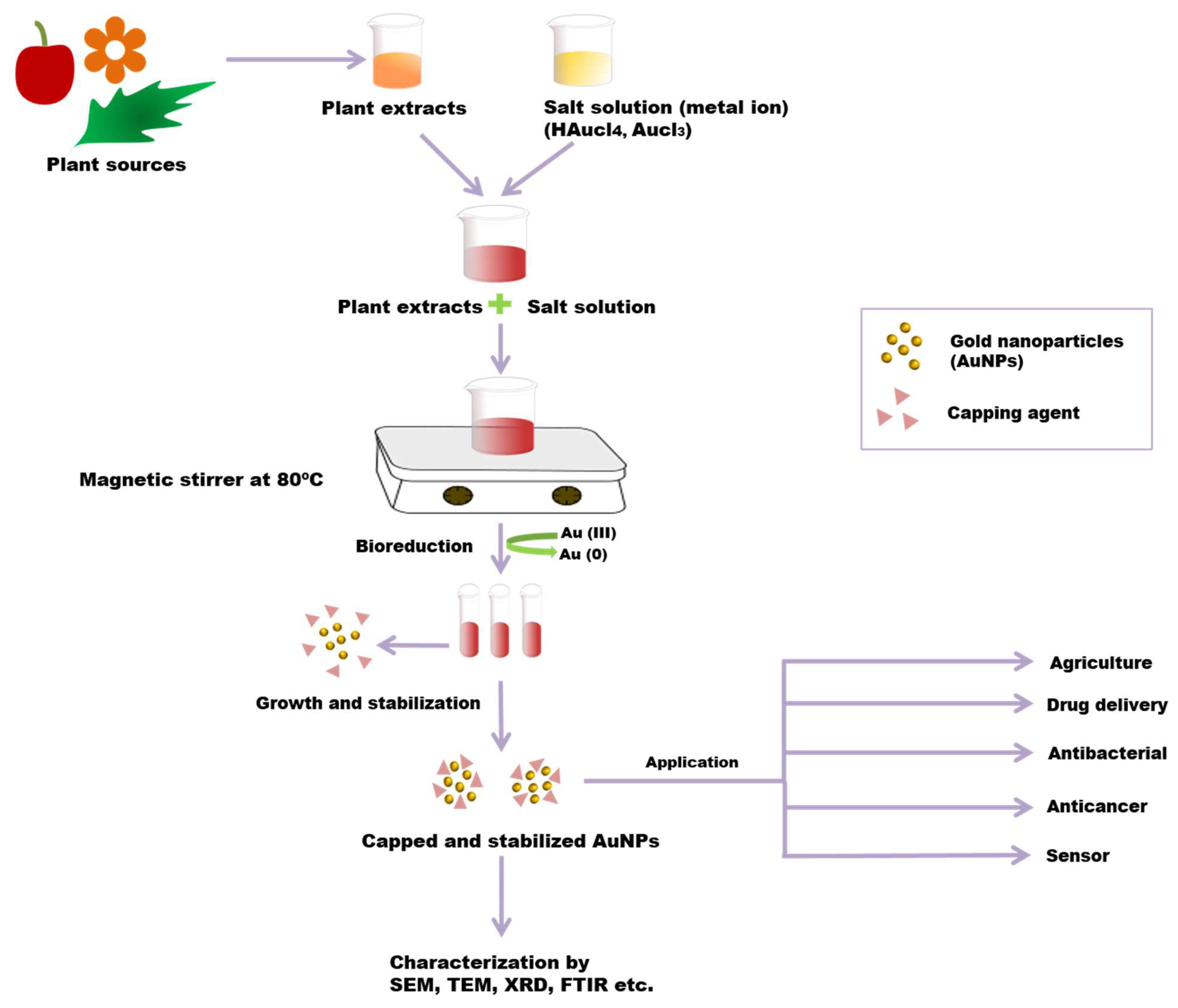 Molecules 26 06389 g003