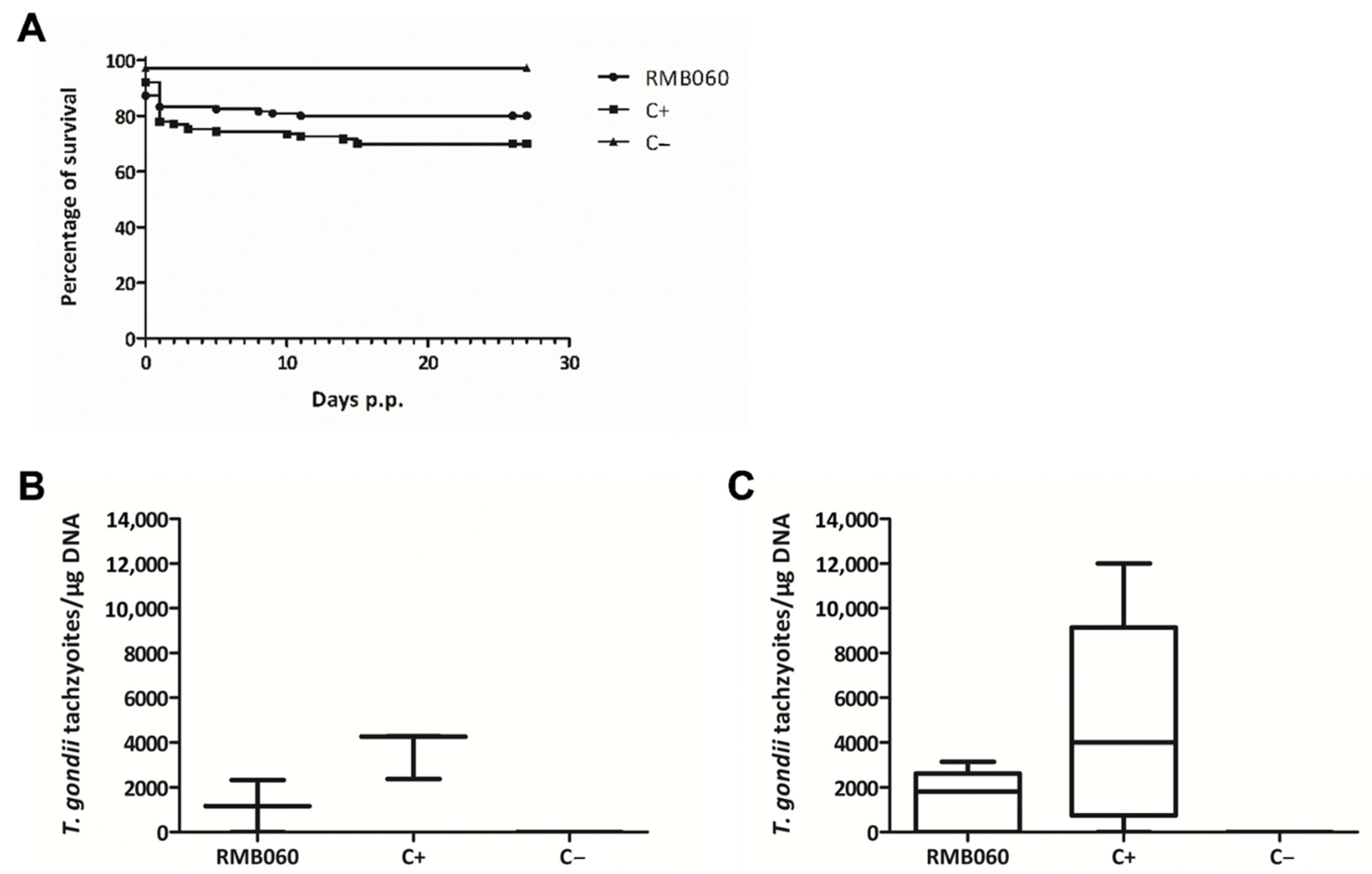 Molecules 26 06393 g006