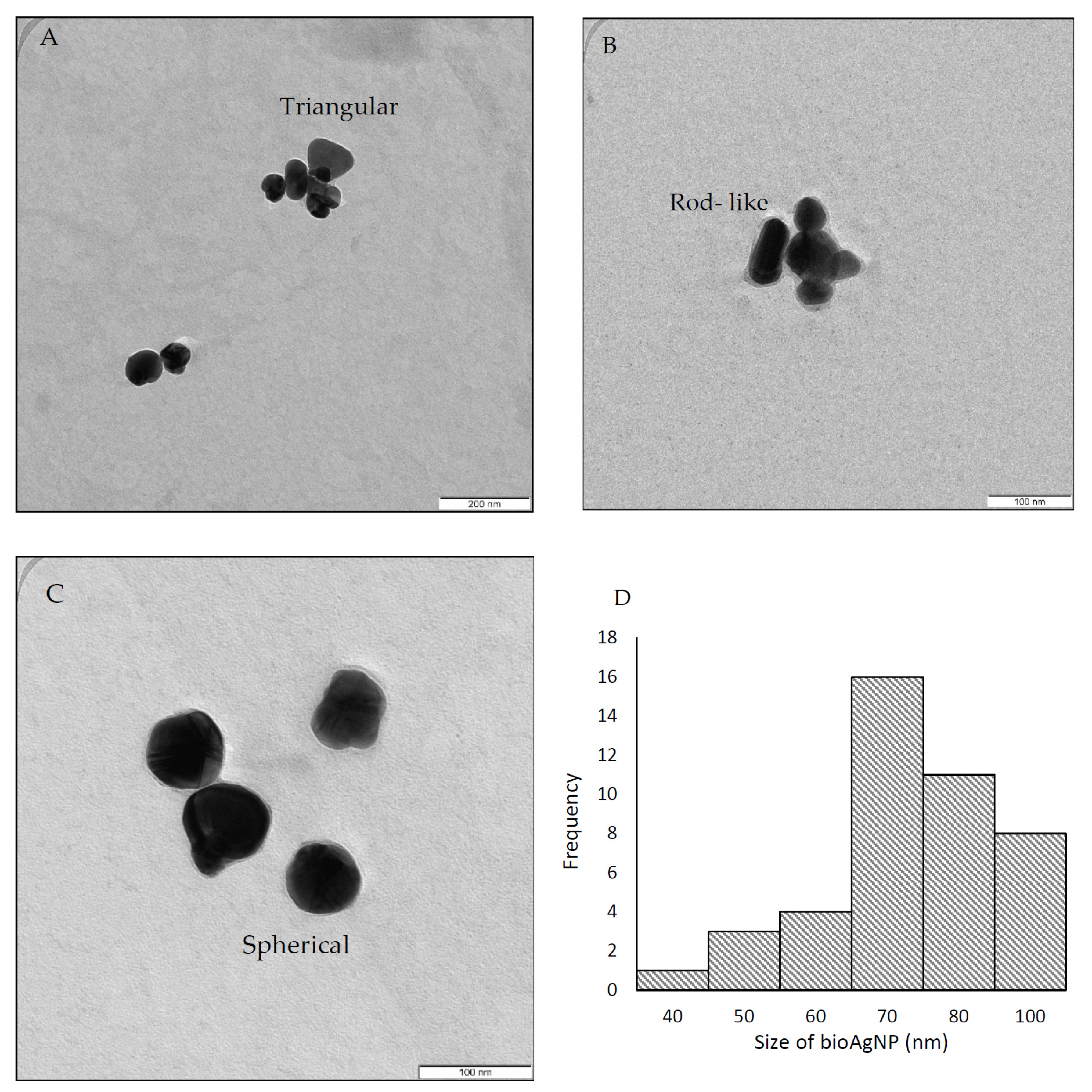 Molecules 26 06414 g002