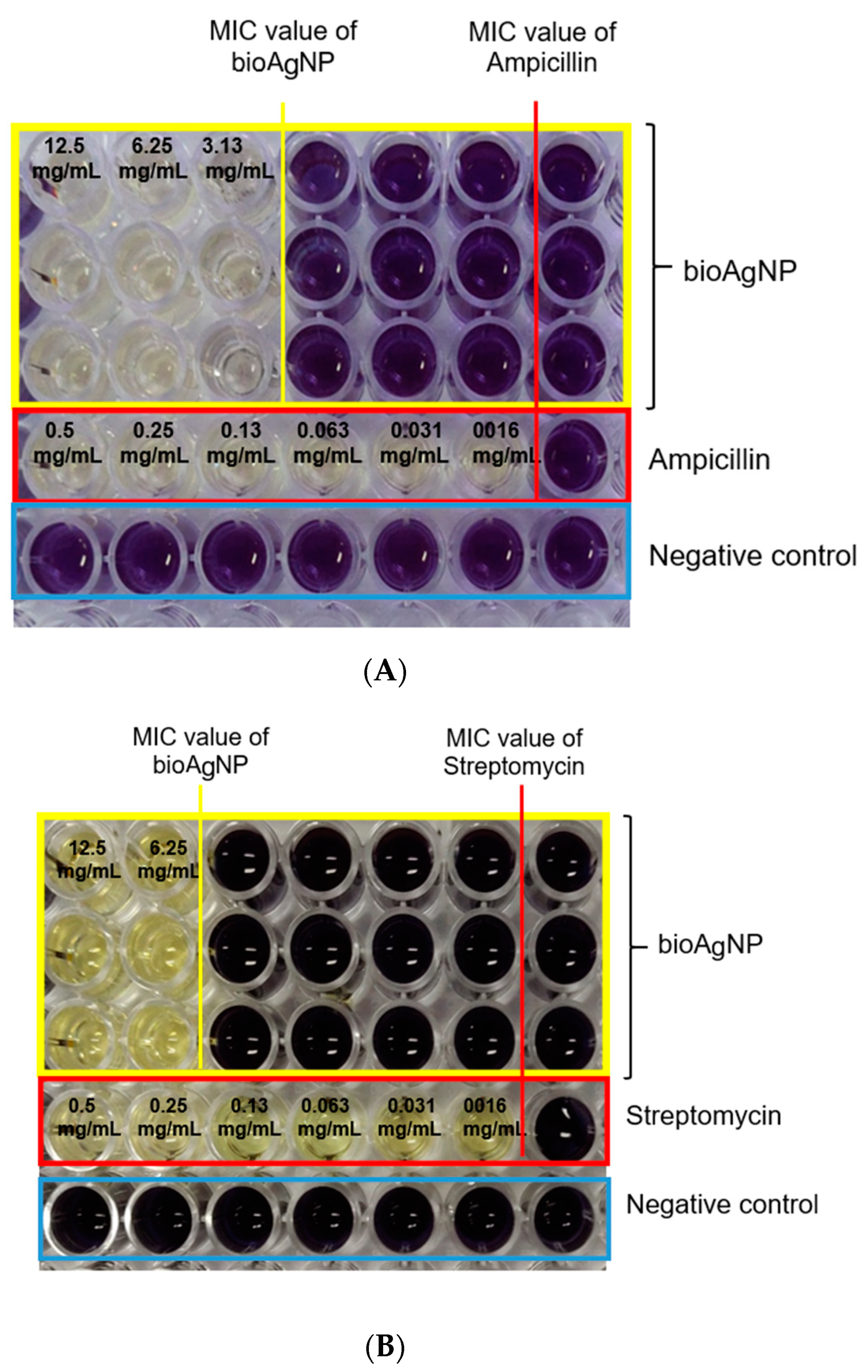 Molecules 26 06414 g004