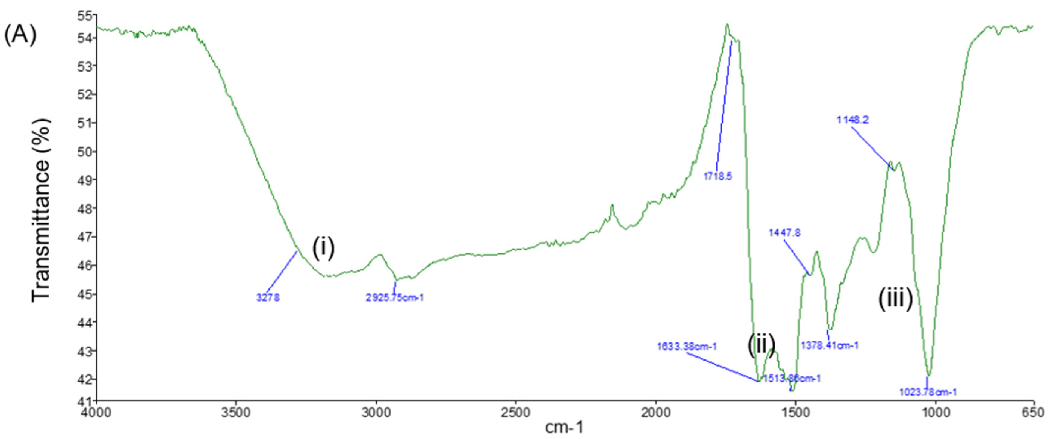 Molecules 26 06414 g009a