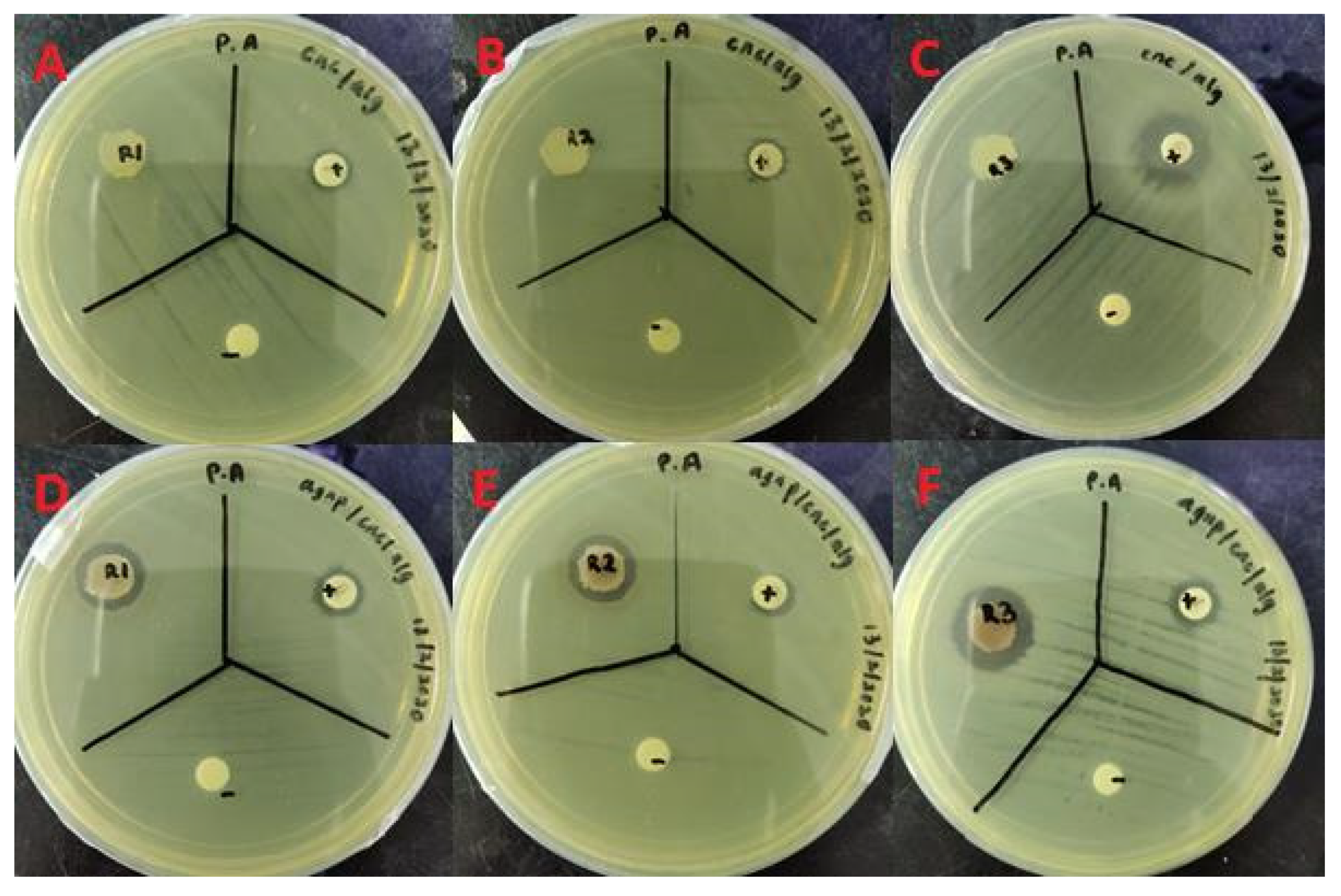 Molecules 26 06414 g010